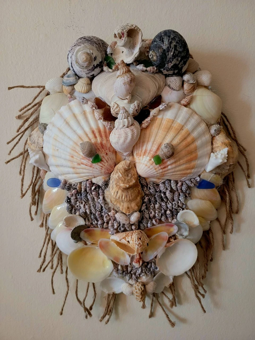 Seashell Wall Art