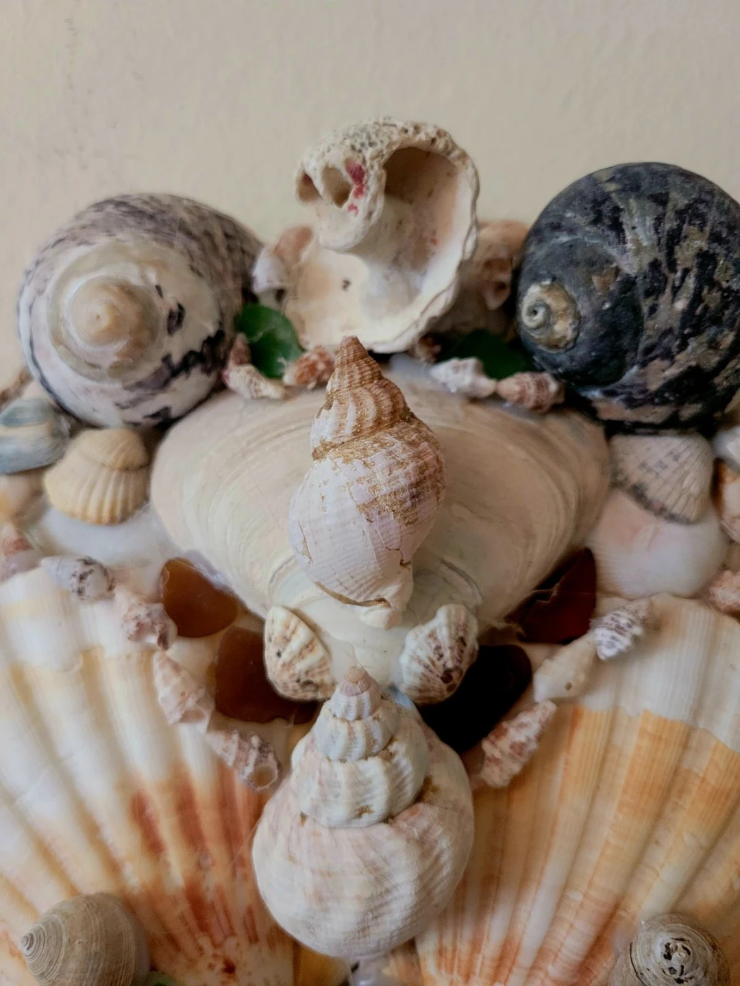 Seashell Wall Art - photo 5