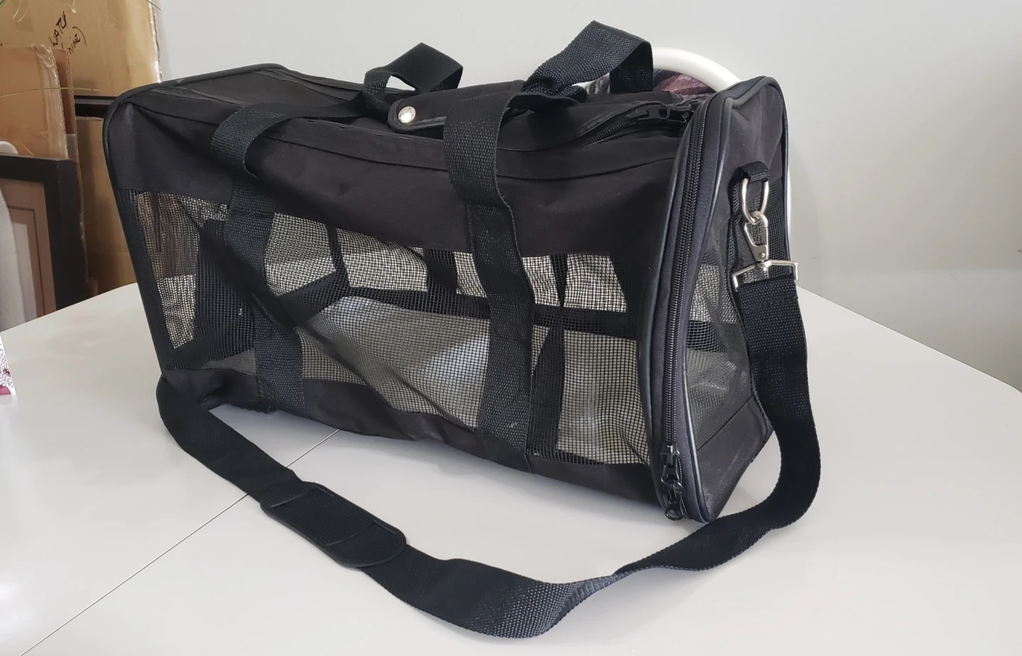 Amazon basics pet carrier