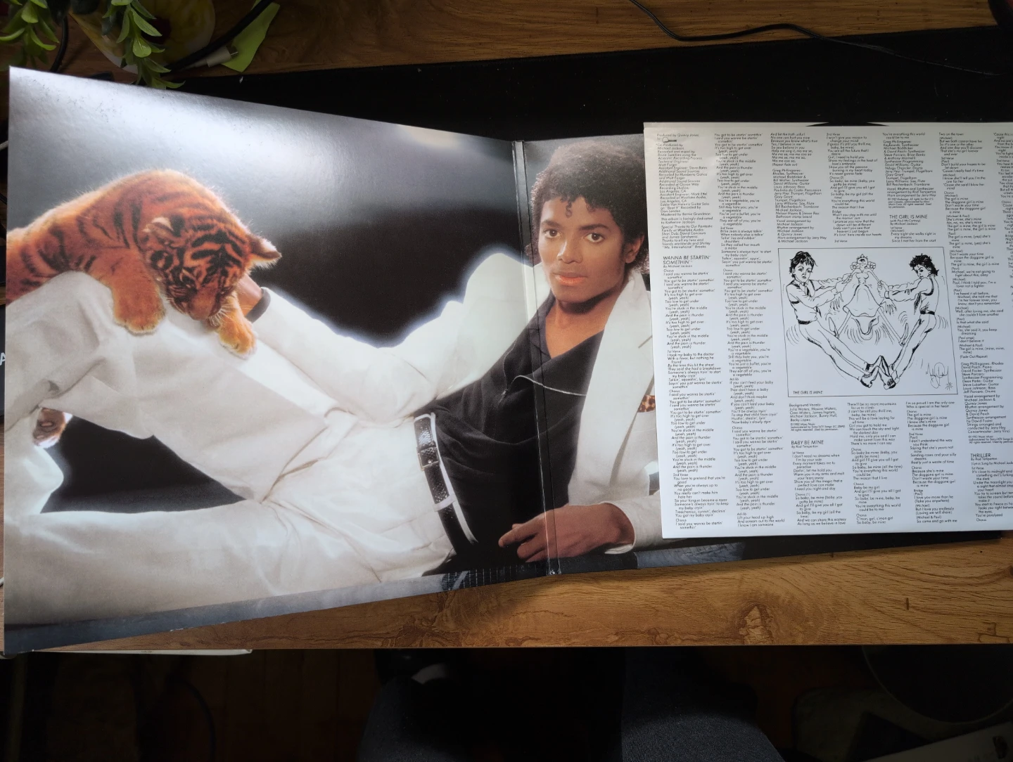 Michael Jackson Thriller Vinyl Record - photo 2