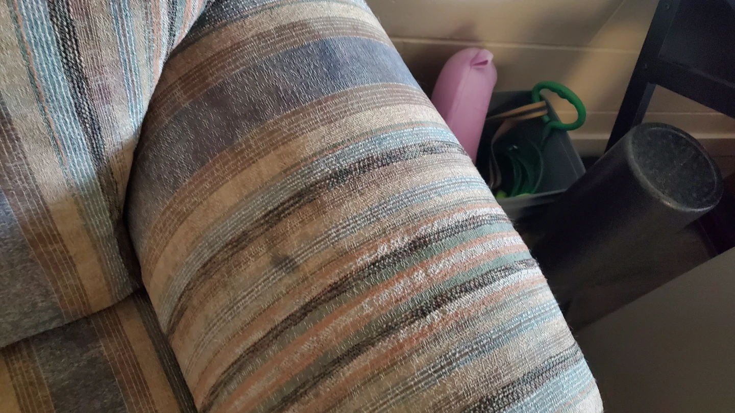 FREE - Loveseat - photo 3