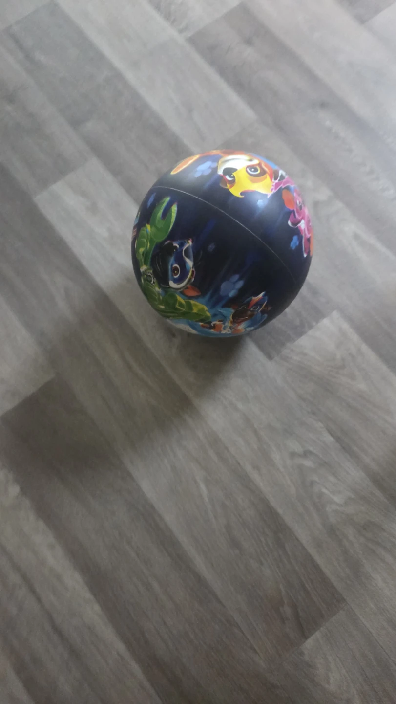 Paw Patrol Beach Ball