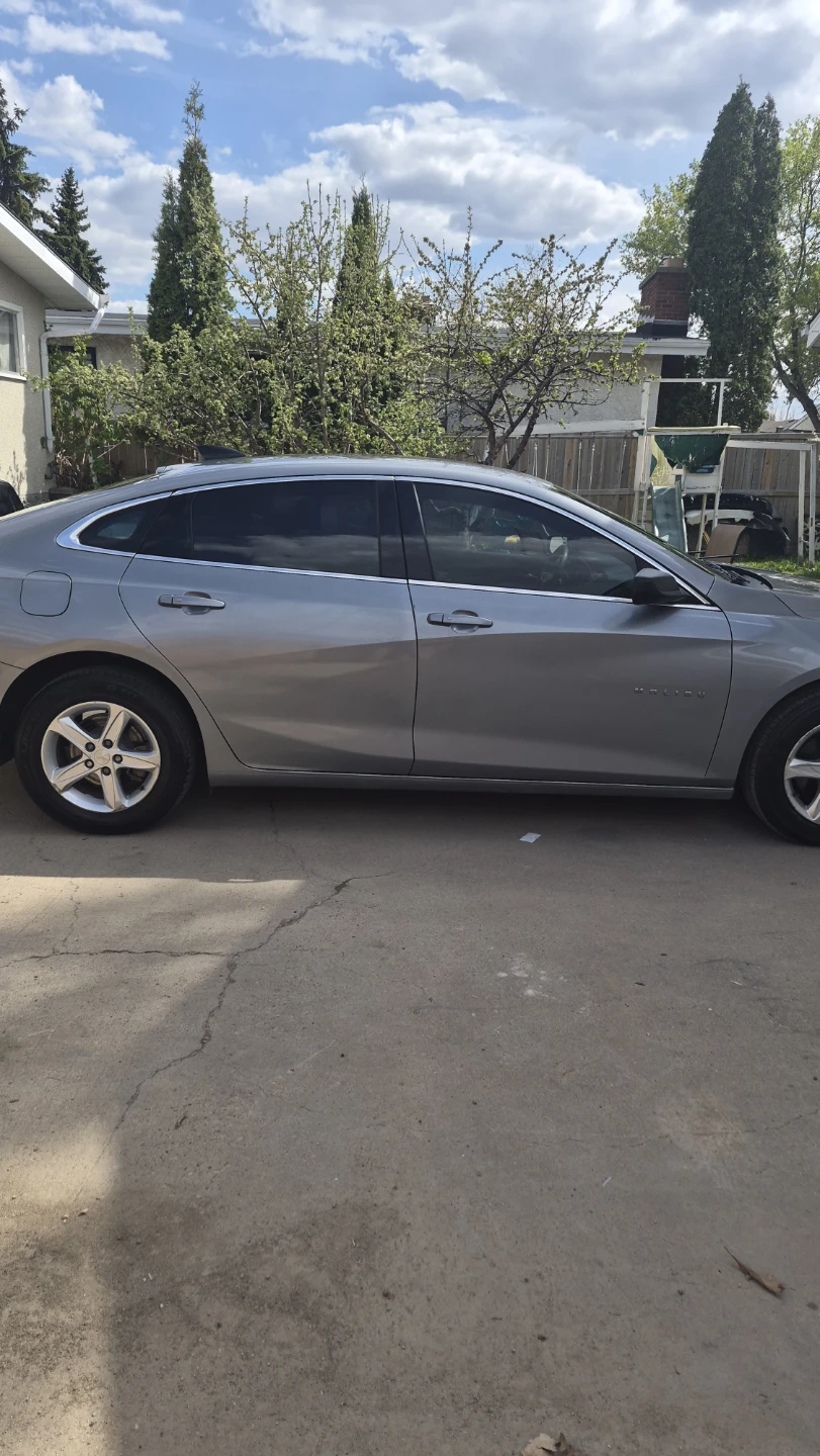 2019 Chevrolet Malibu LT Sedan - photo 2