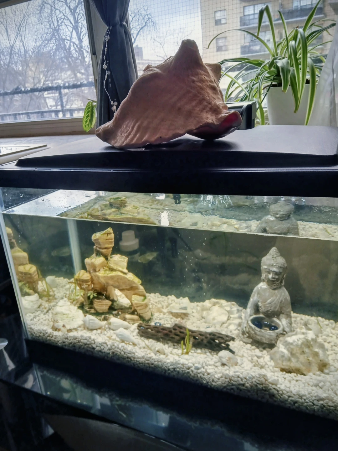 Aquarium with decor and pump/filter