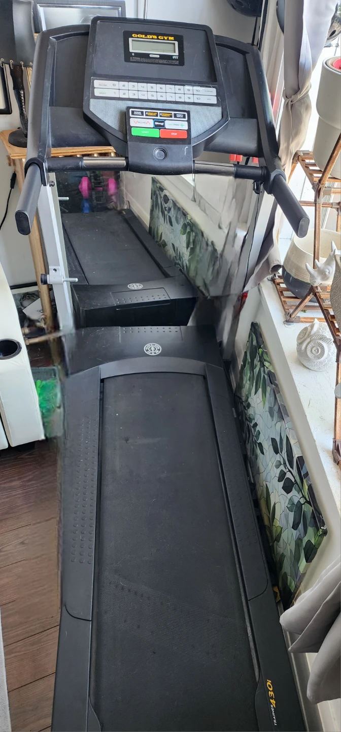 Gold's Gym Trainer 430i Treadmill