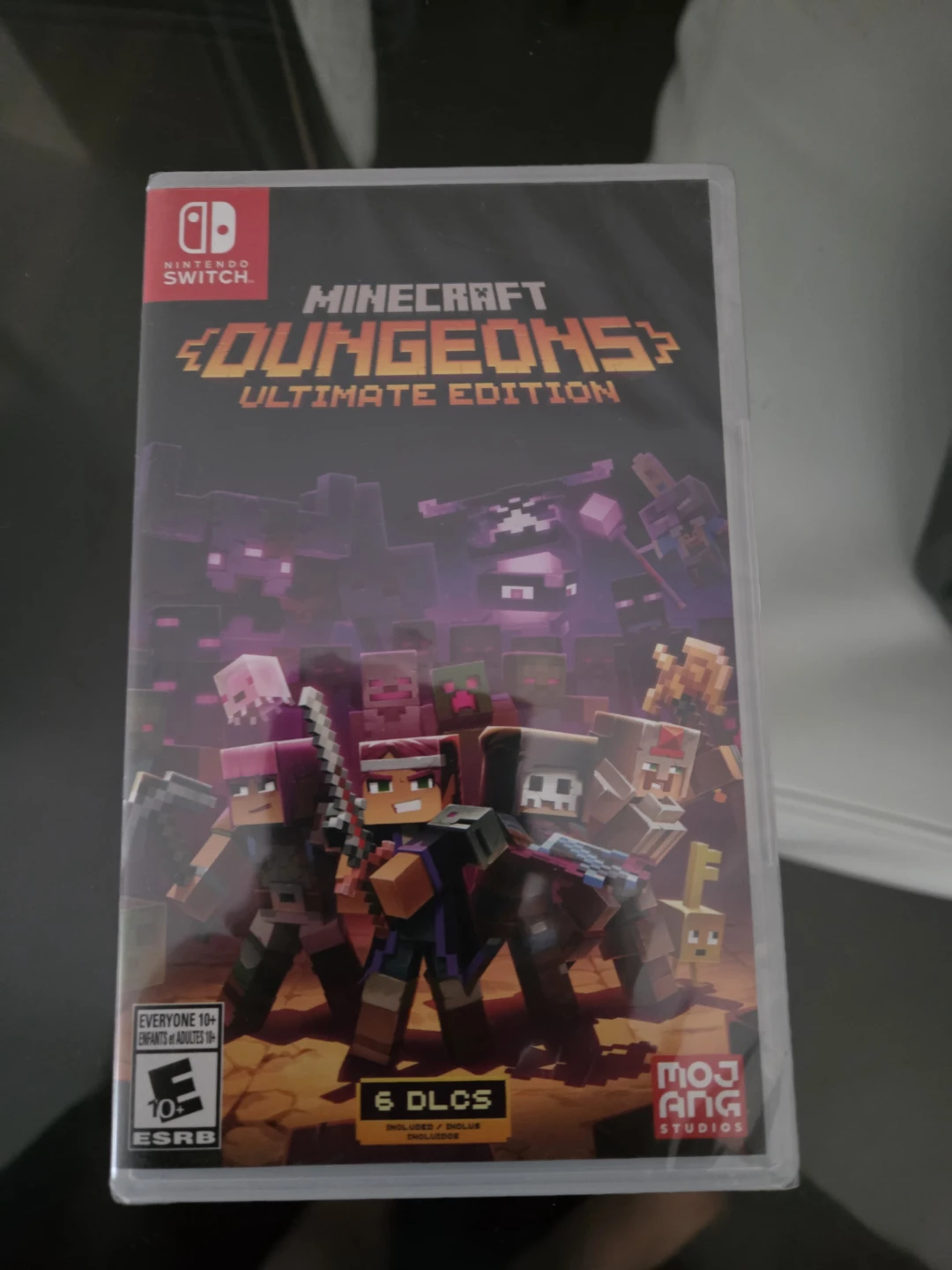 Nintendo Switch - Minecraft Dungens