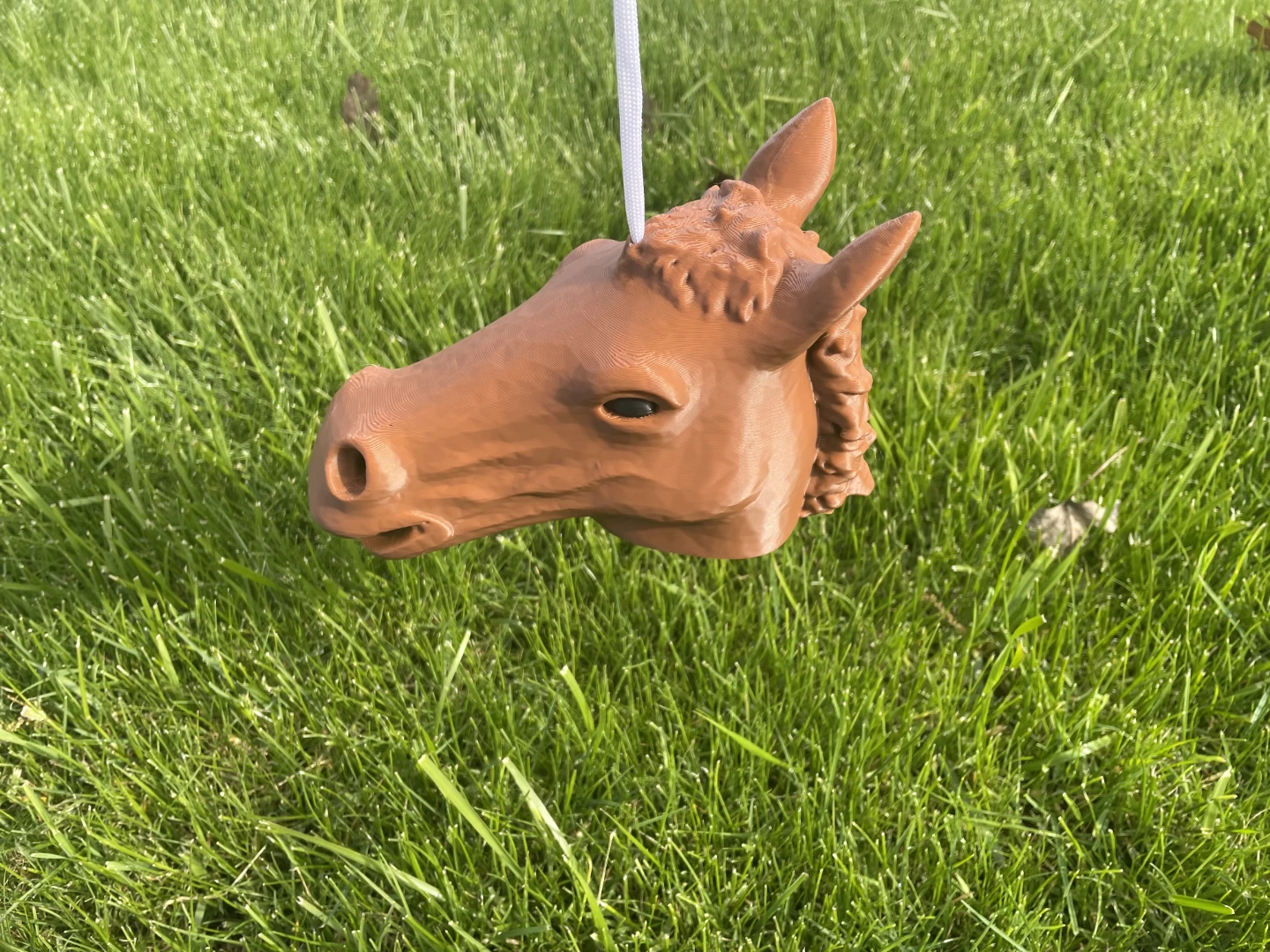 Hilarious Horse Head Squirrel Feeder (3D Printed in Gastown!) - photo 4