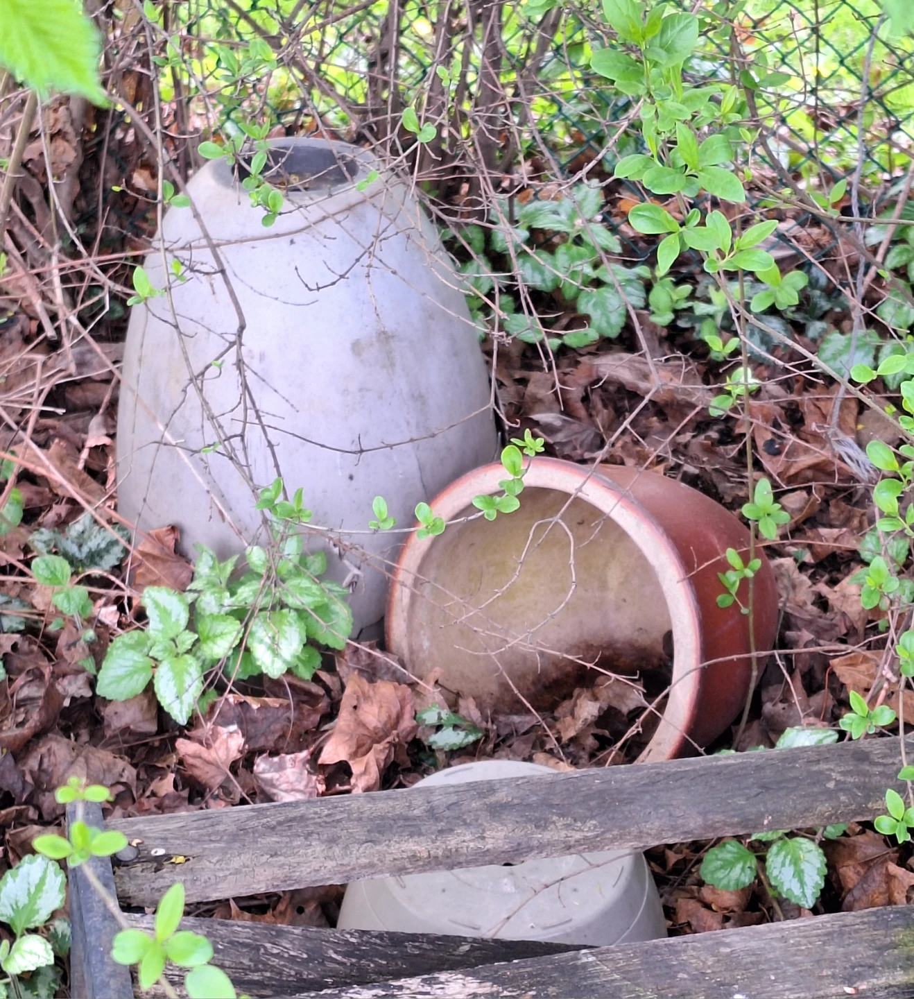 Two large ceramic planters