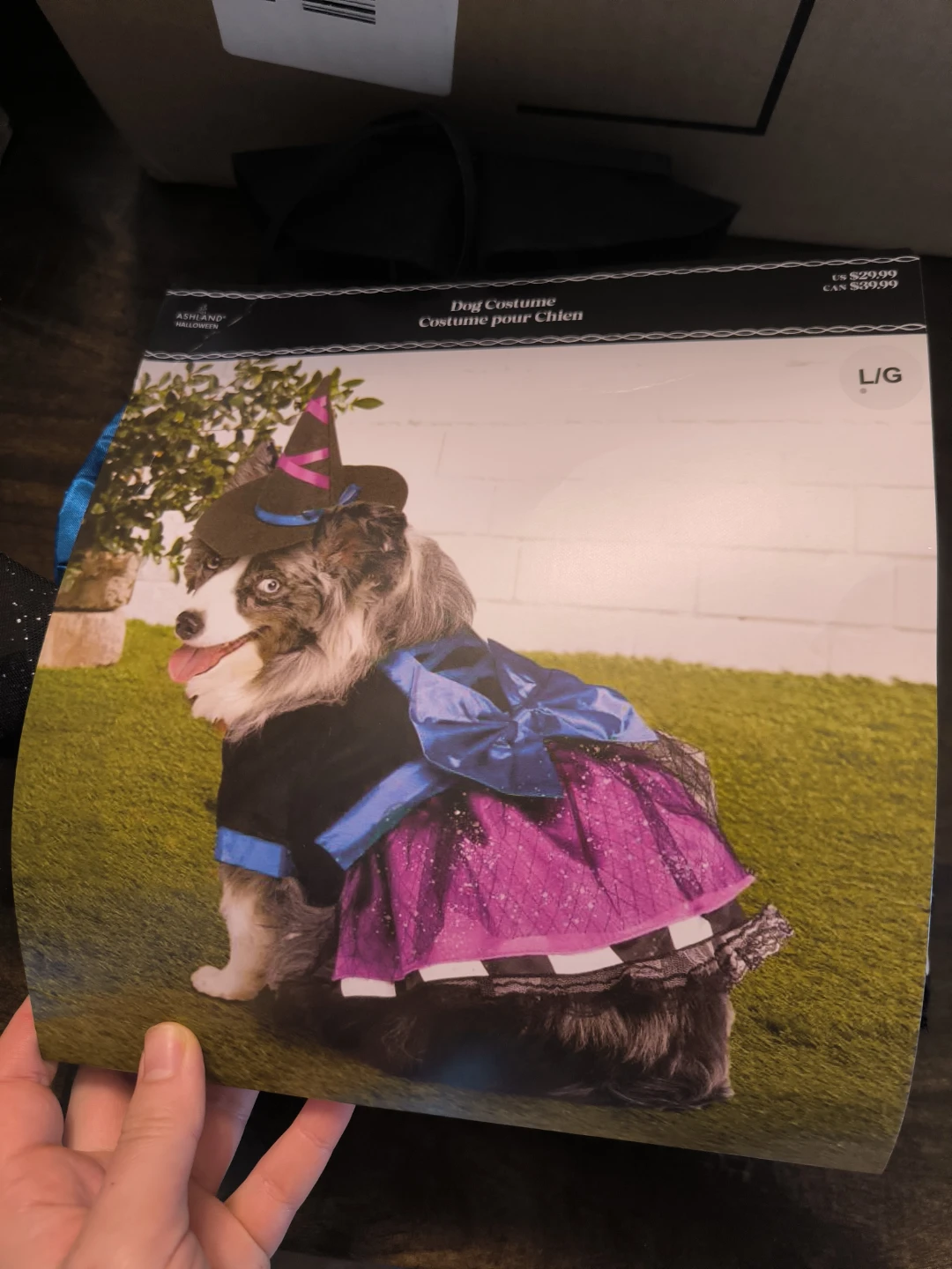 Witch Dog Costume