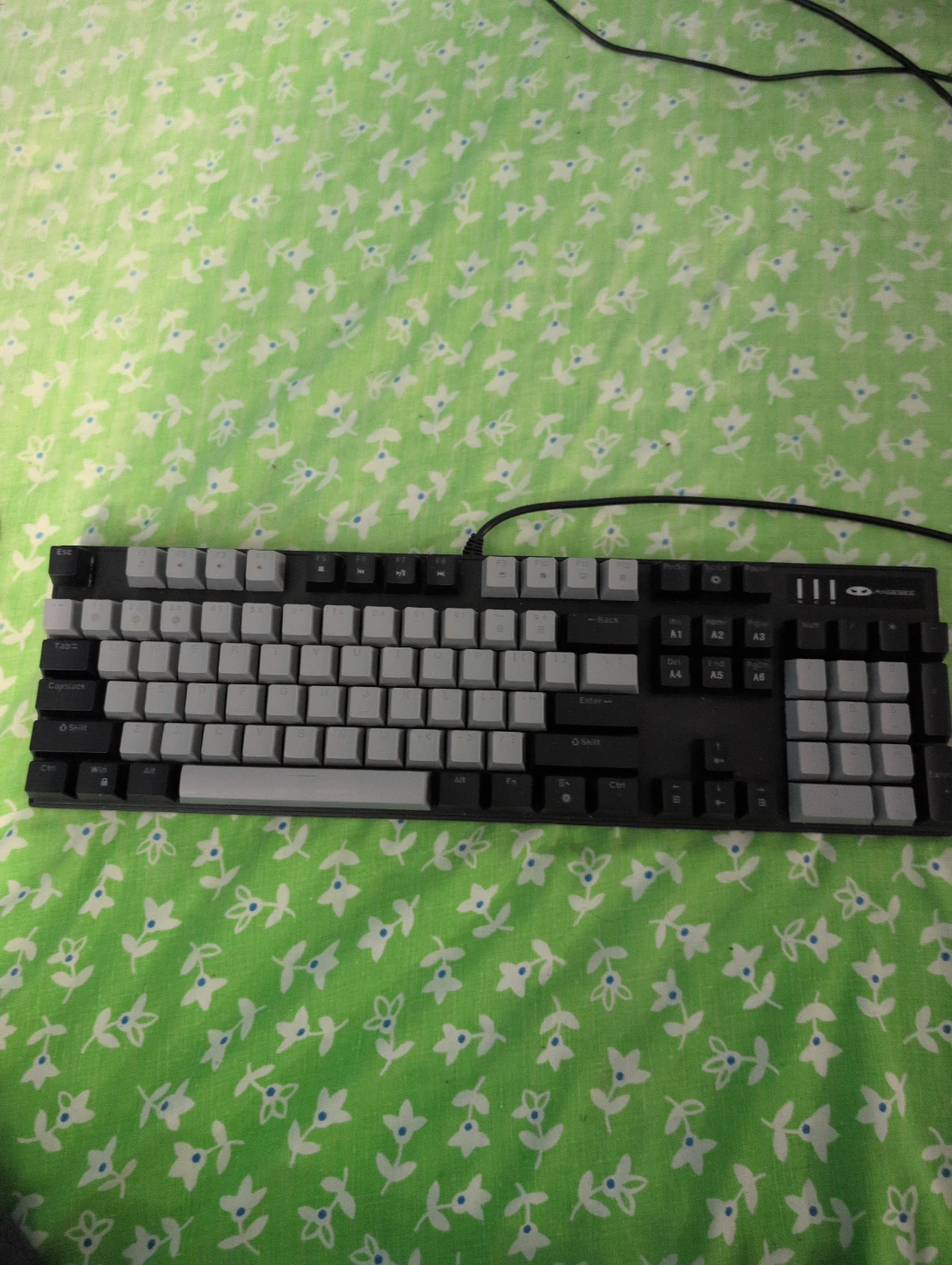 Mechanical Keyboard
