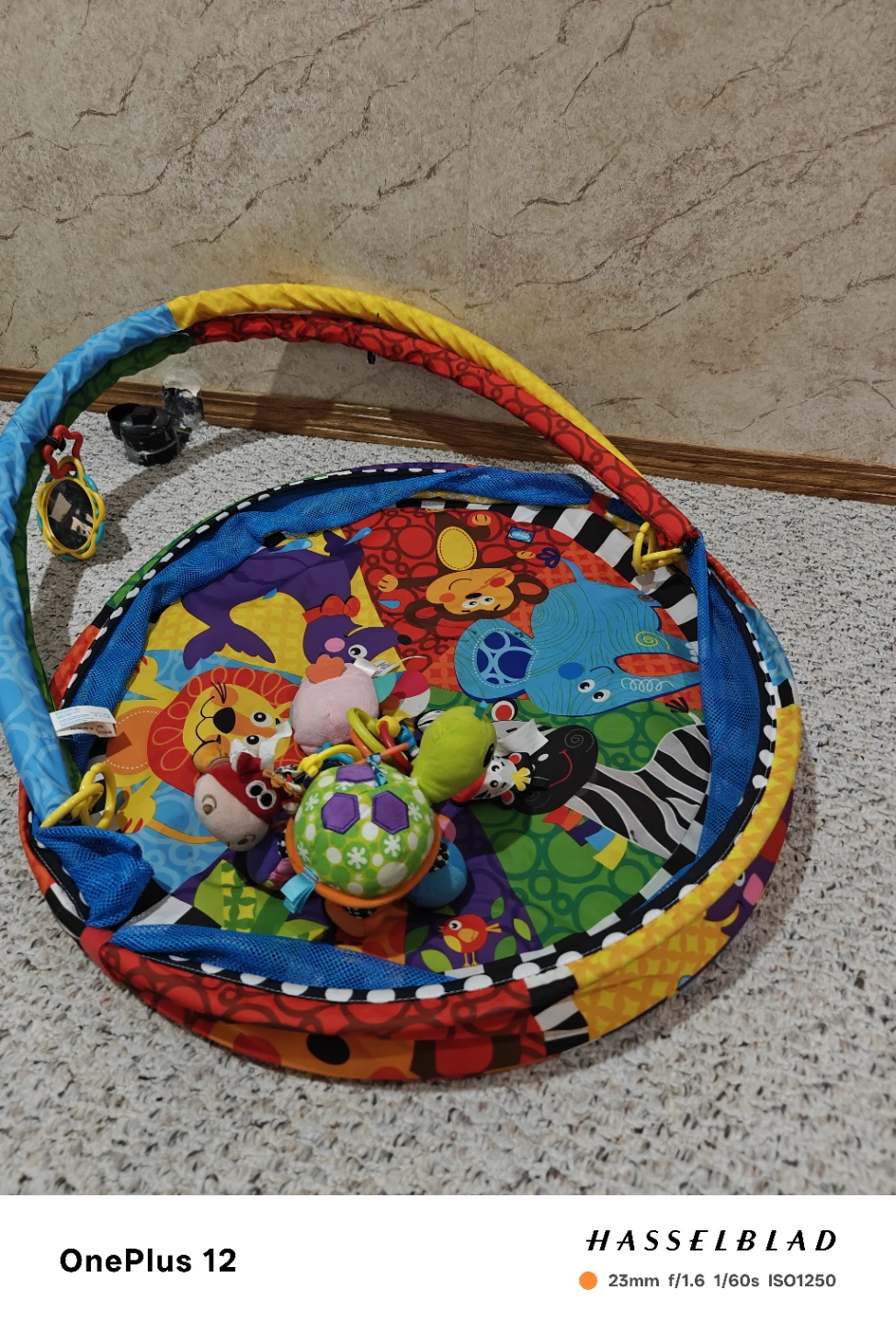 Play Gym Activity Mat with Toys - photo 2