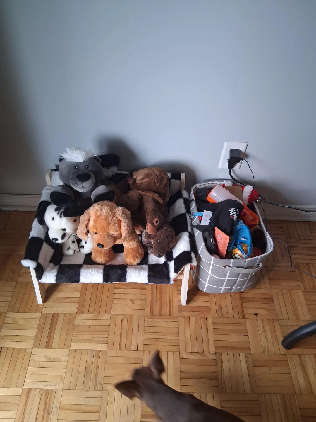 Large assortment of dog toys and accessories