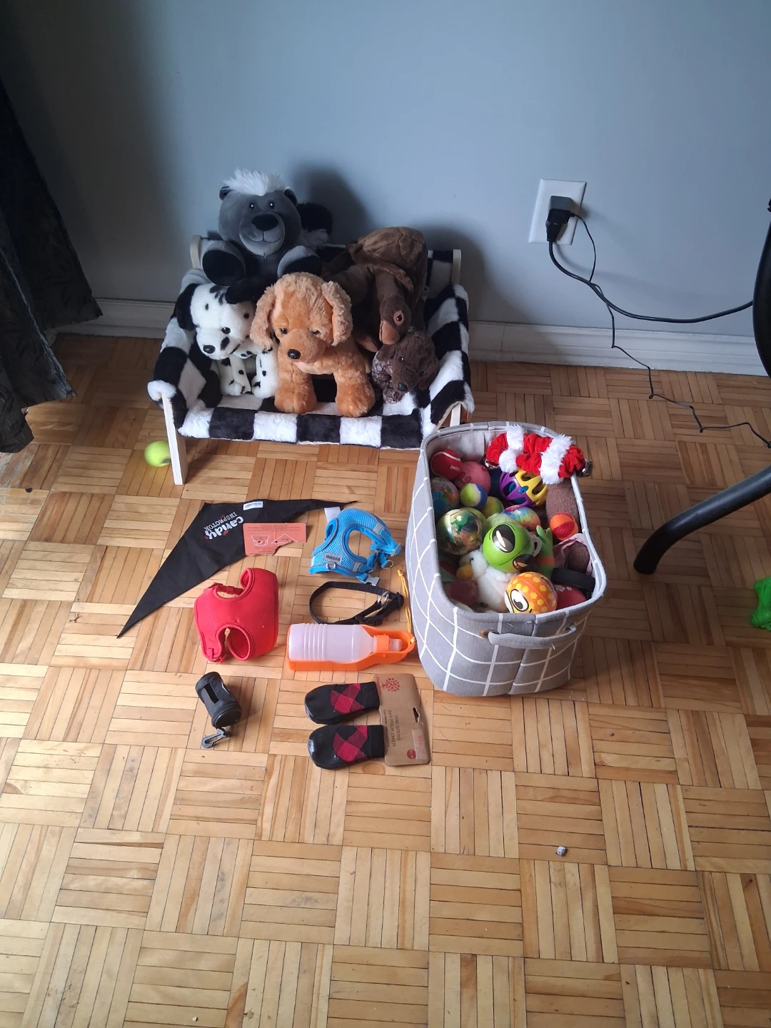 Large assortment of dog toys and accessories - photo 2