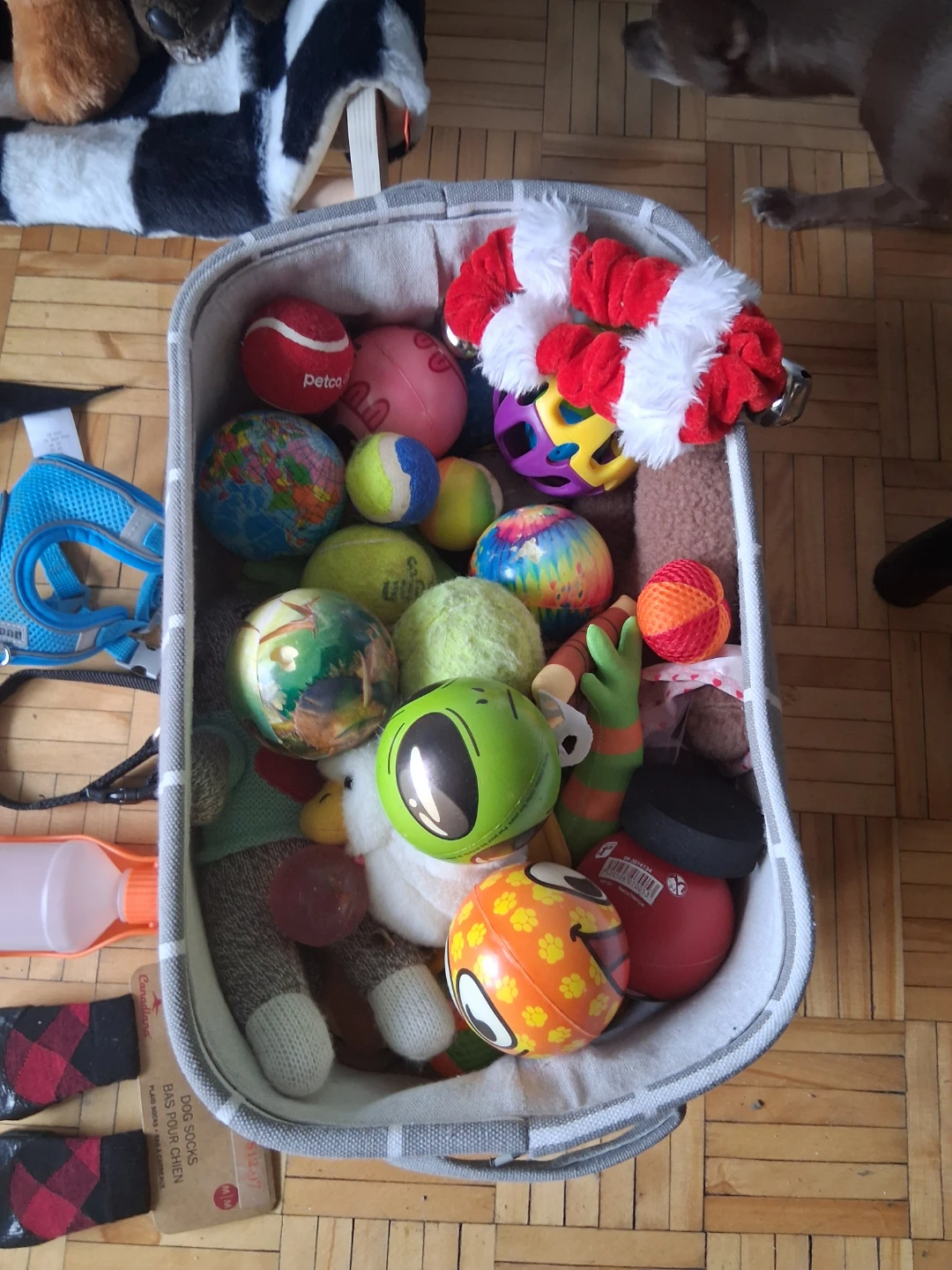 Large assortment of dog toys and accessories - photo 5