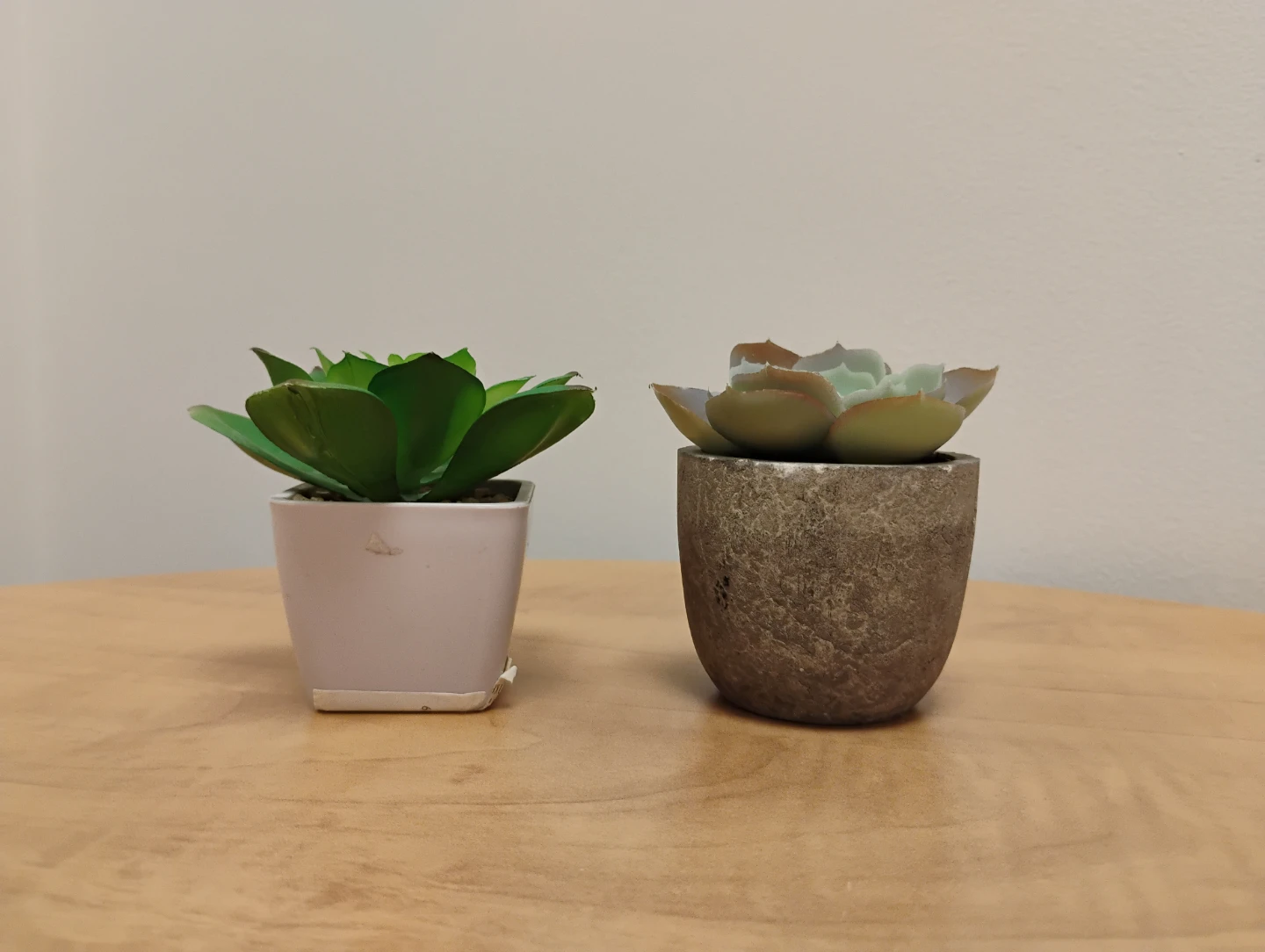 Faux Succulent Plants