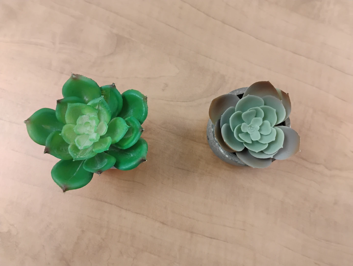 Faux Succulent Plants - photo 2