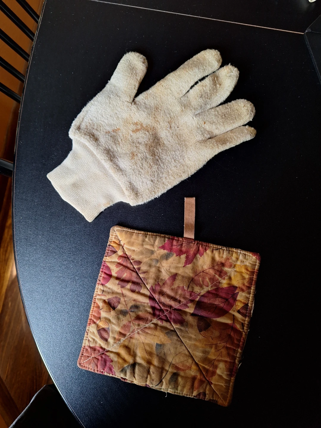 Oven Proof Glove and Fall Leaf Pot Holder