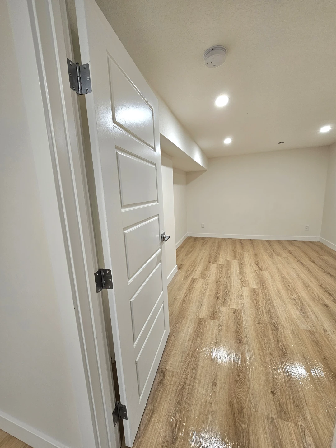 Newly Renovated Basement Suite with Kitchen and Bathroom - photo 5