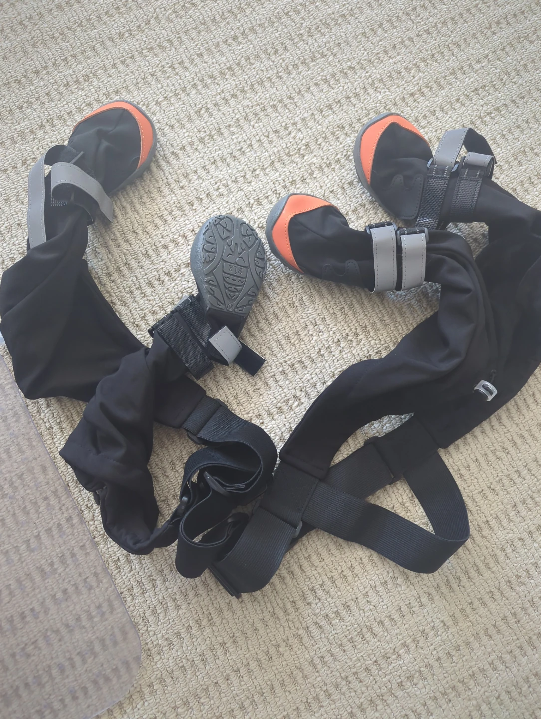 Dog Boots