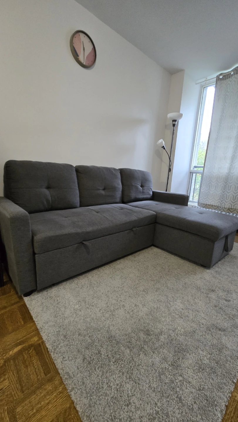 Gray L-Shape Sectional Sofa Bed + Hidden Storage