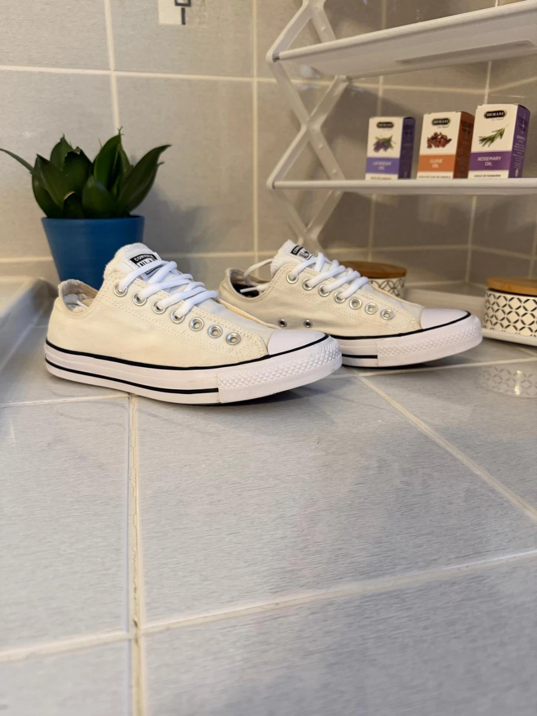 Converse All Star Low Top Sneakers women's 8