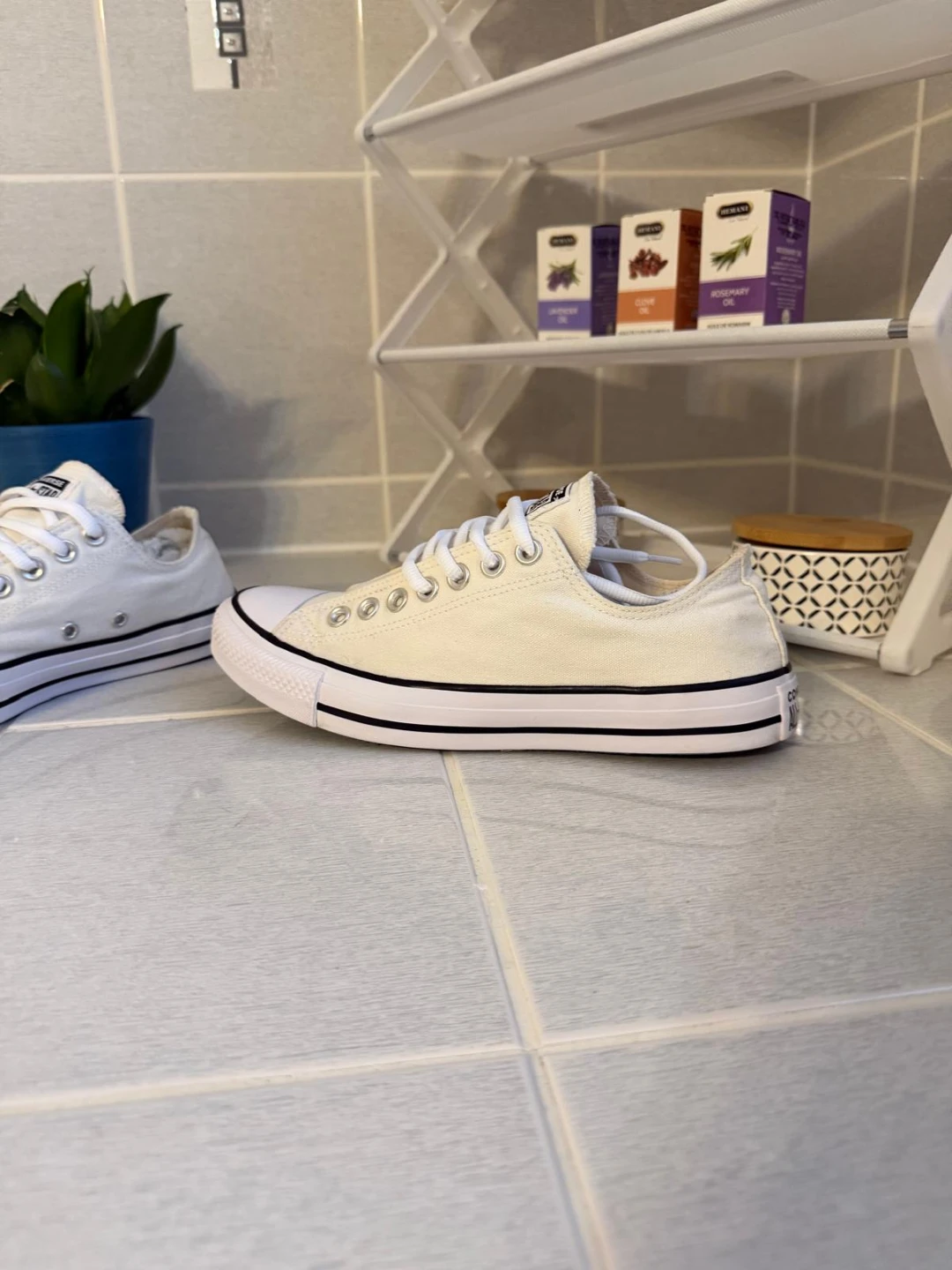 Converse All Star Low Top Sneakers women's 8 - photo 3