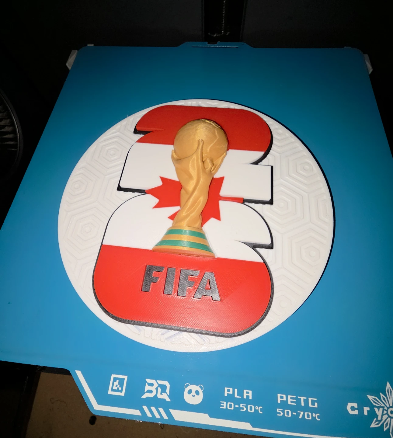 Fifa world cup 3d printed pendants with chain - photo 4