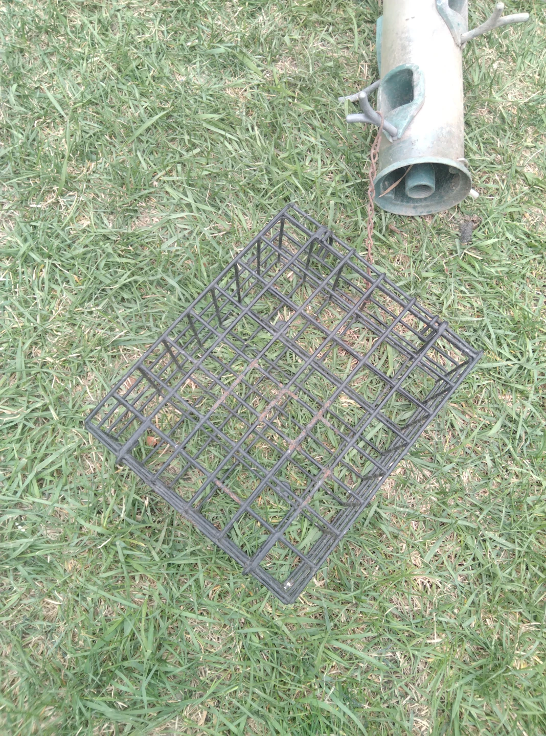 Wire Crate with Hanging Bird Feeder