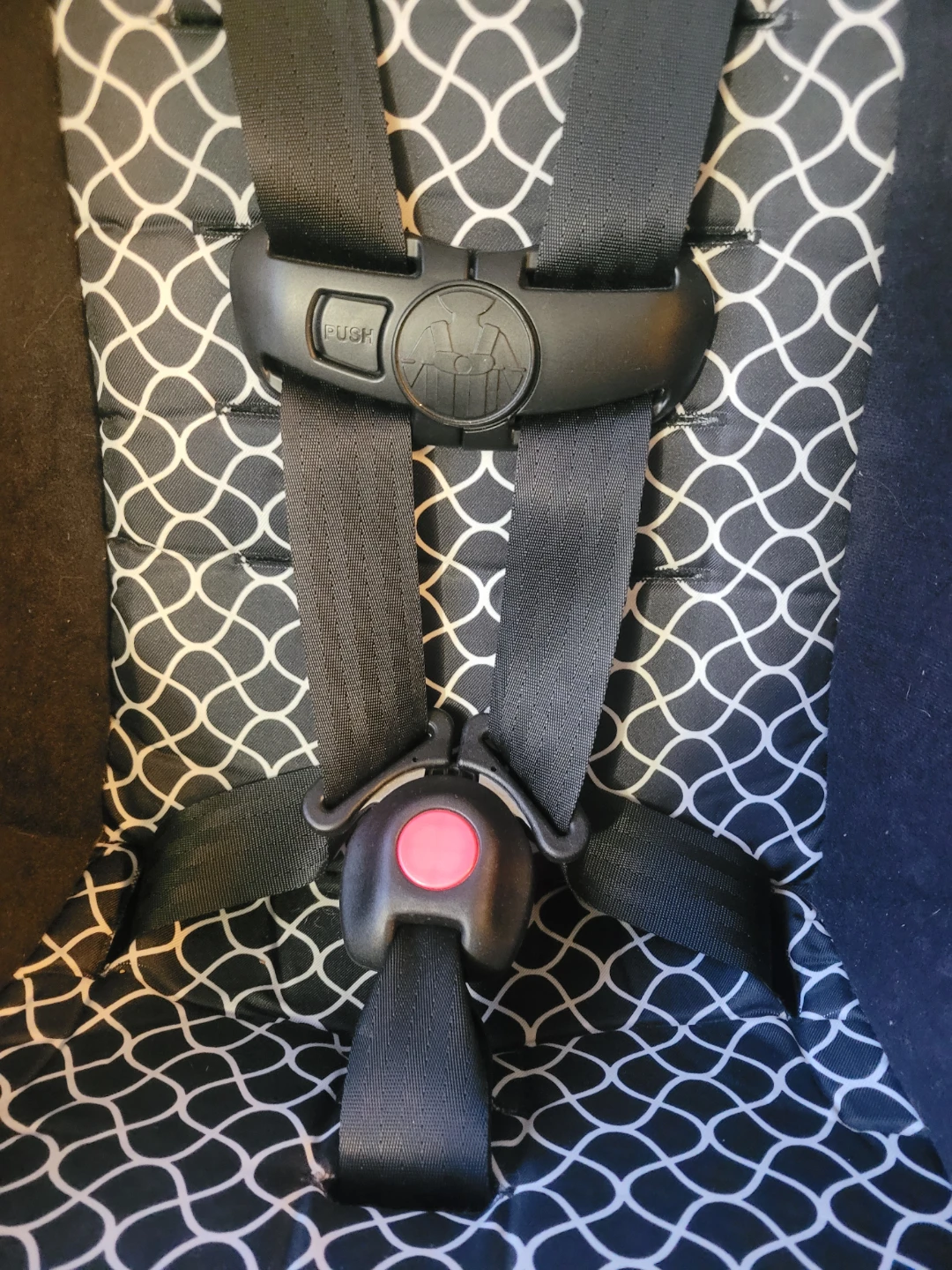 Cosco Convertible Car Seat - photo 4