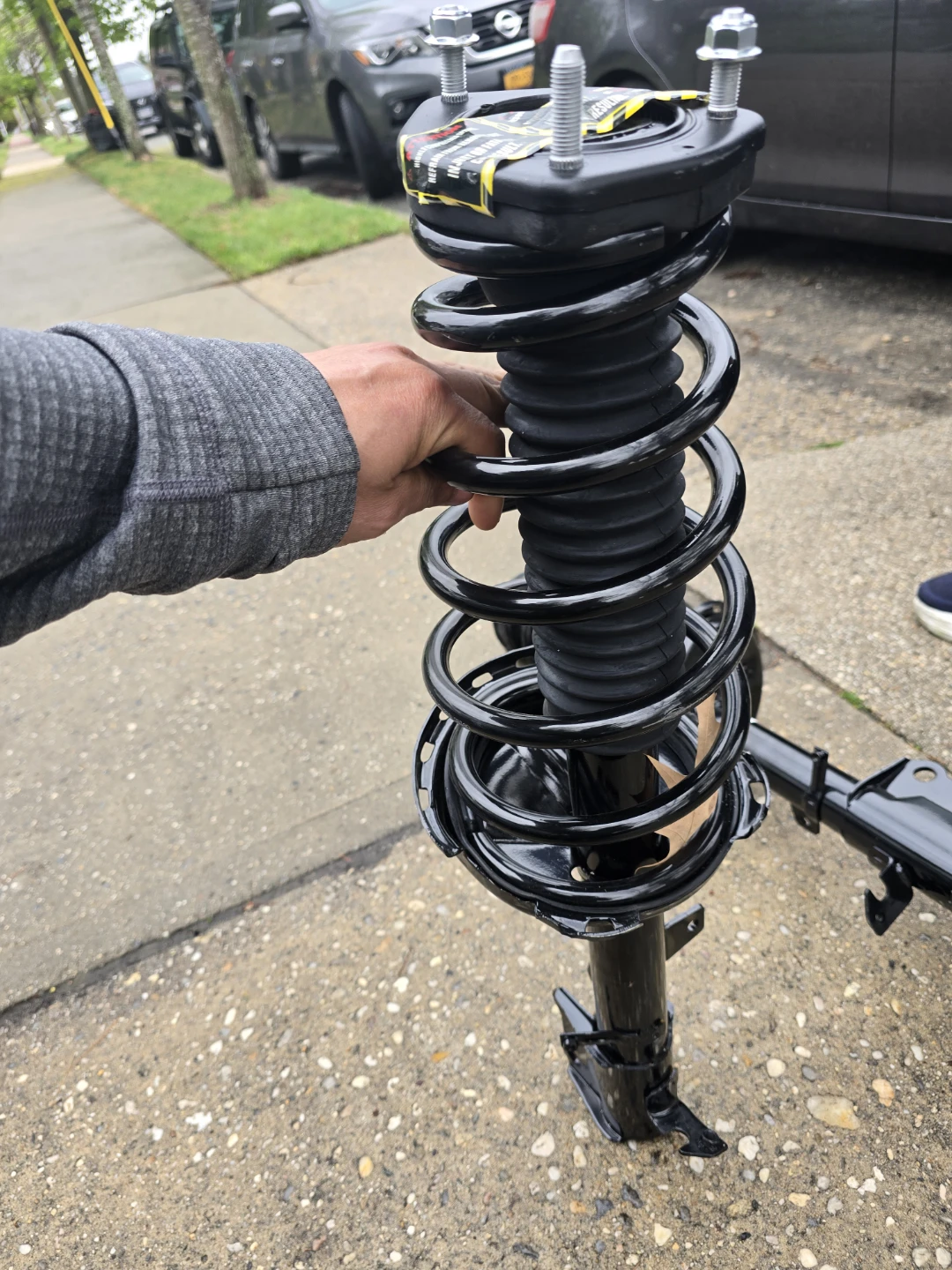Pair of Black Struts with Coil Springs for Automotive Suspension