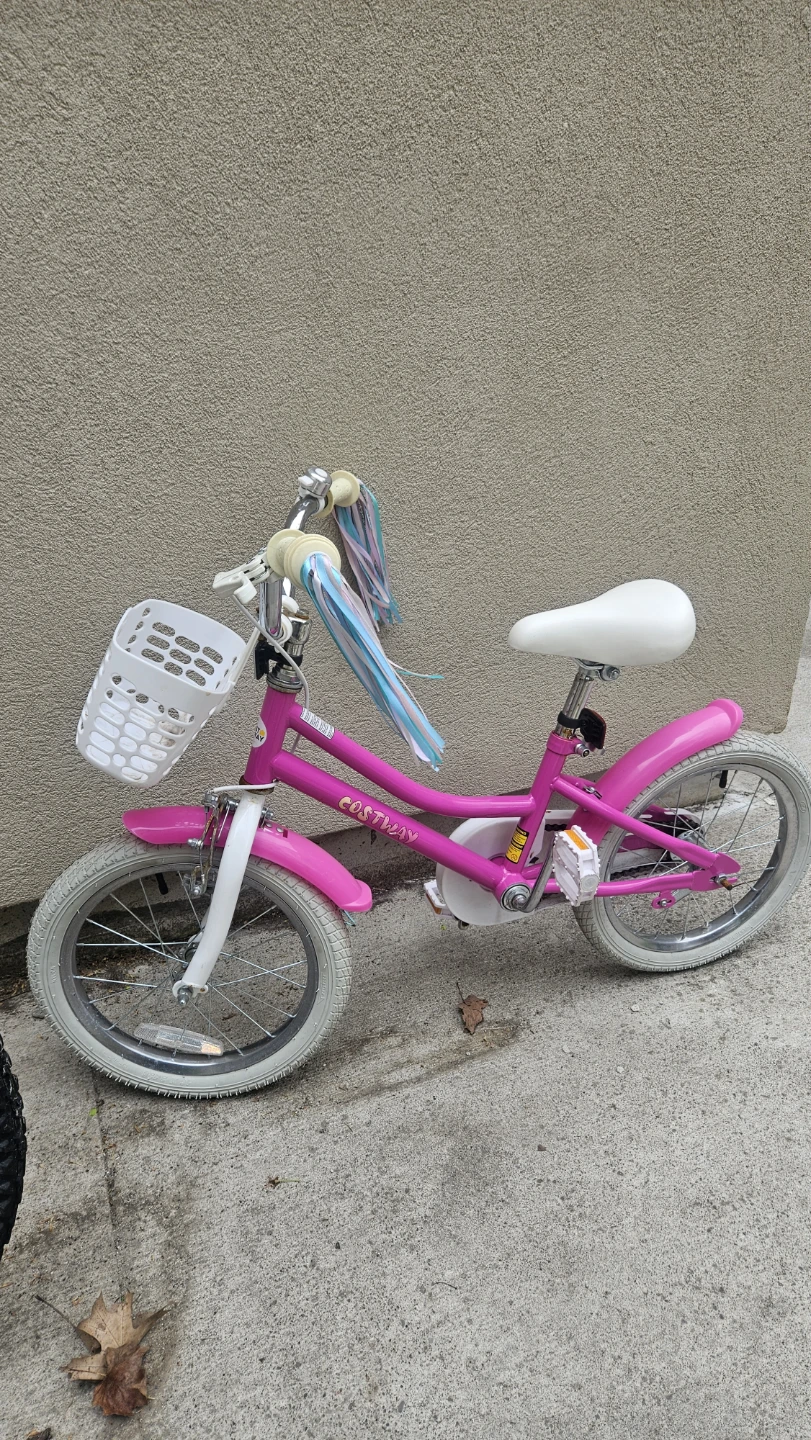 Kids' Pink "Destiny" Bike with Basket