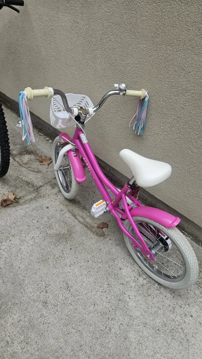 Kids' Pink "Destiny" Bike with Basket - photo 3