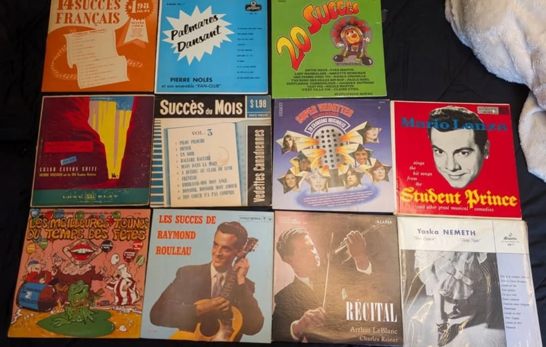 Assorted Vinyl Record Collection - photo 3