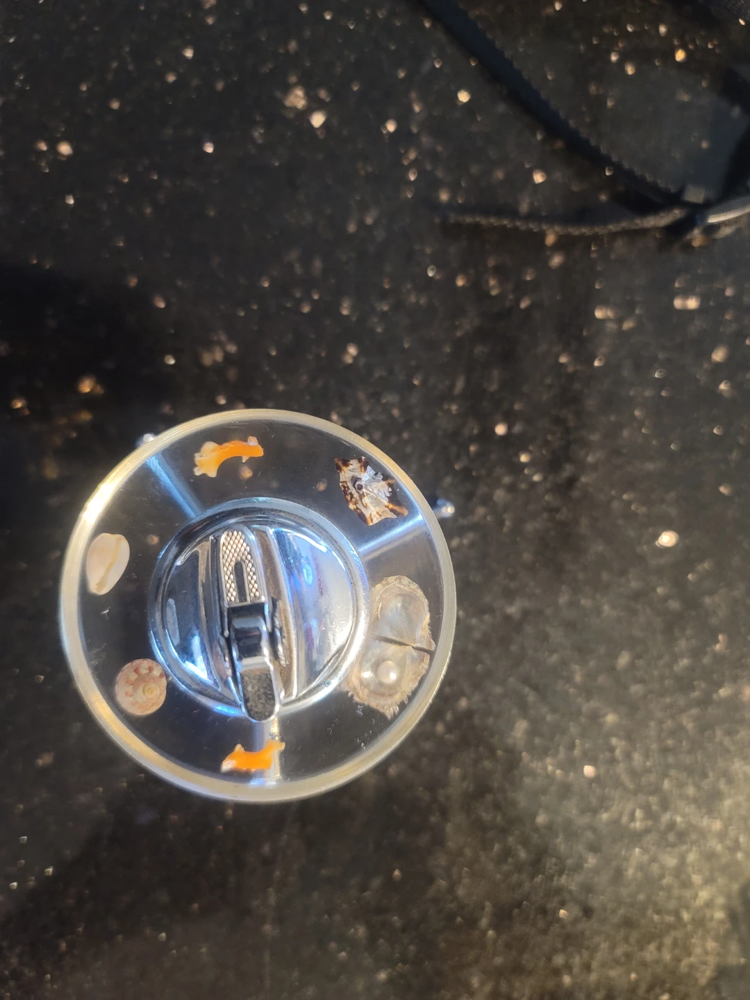 Novelty Lighter with Embedded Shells and Fish Figurines - photo 4