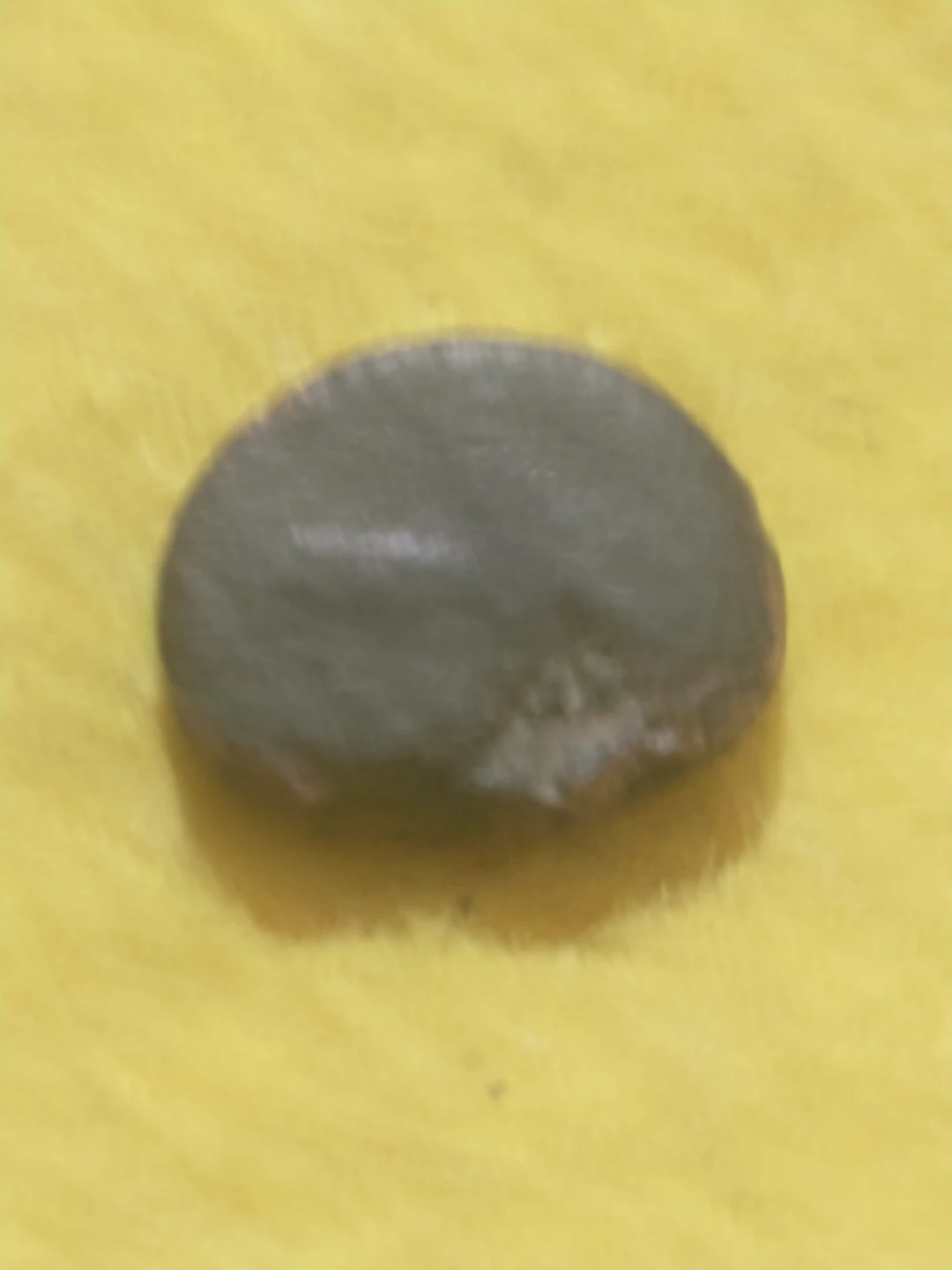 400-350 BC Maroneia Thrace ancient Greek coin - horse, grapes - photo 4