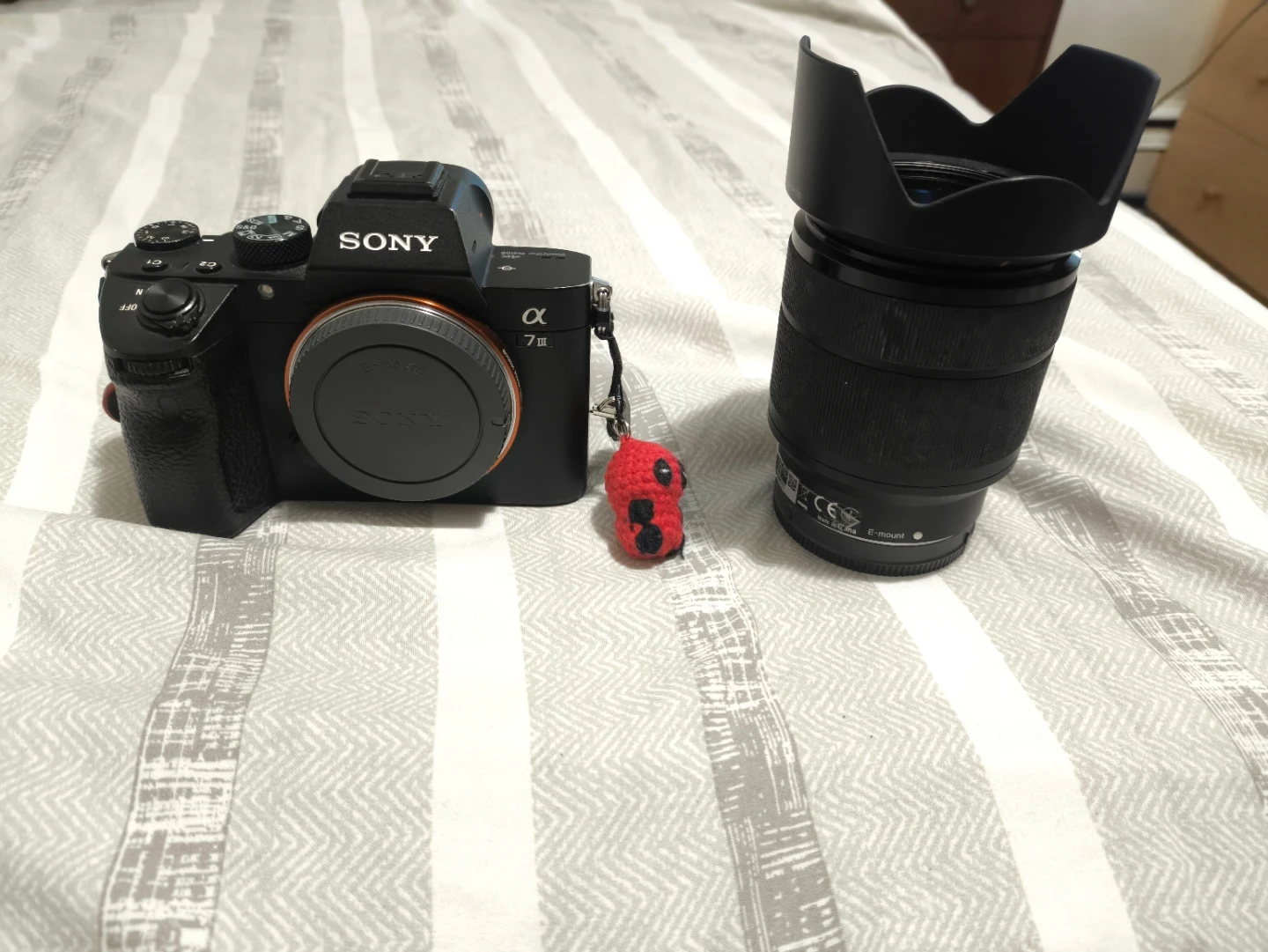 Sony Alpha a7 III Mirrorless Digital Camera with Lens - photo 5