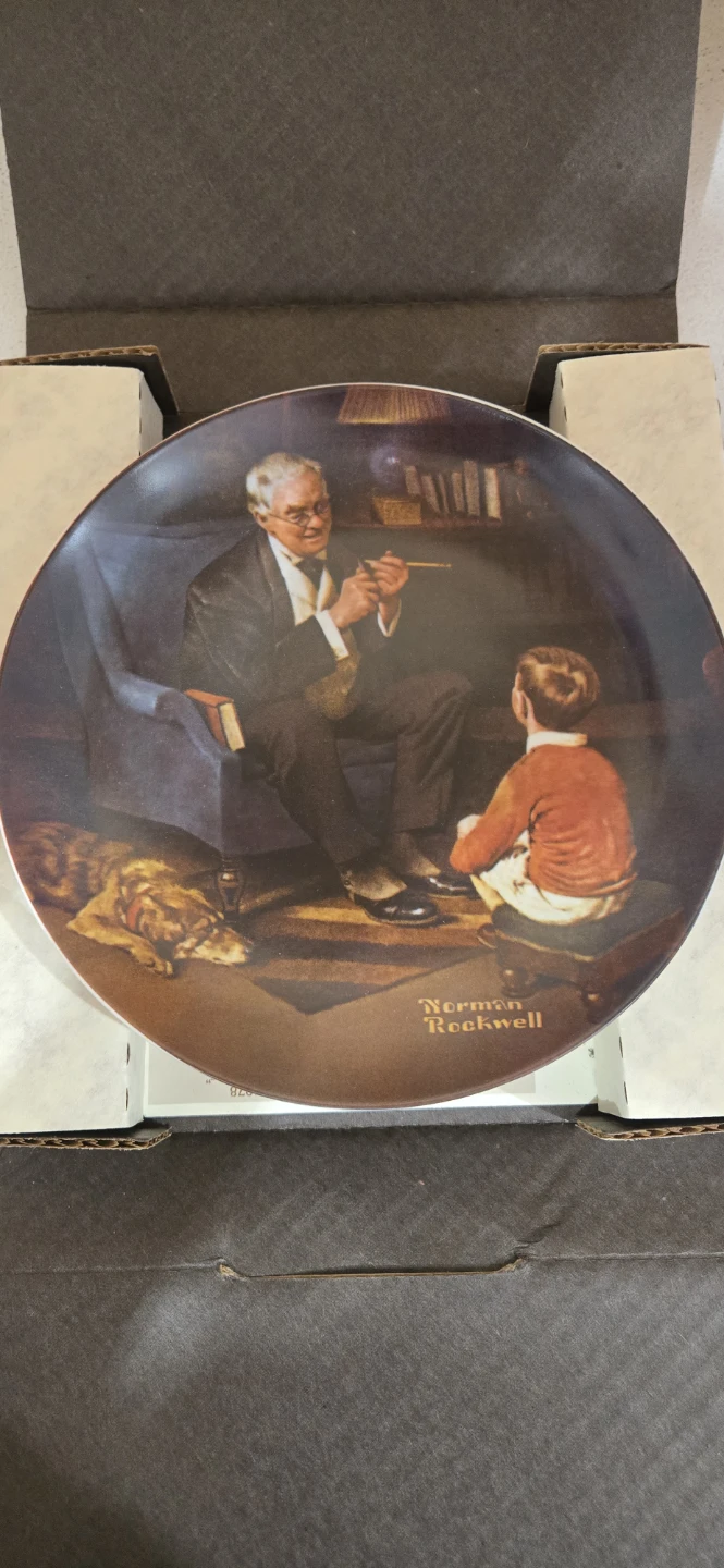 Norman Rockwell "The Dokter" Collector Plate