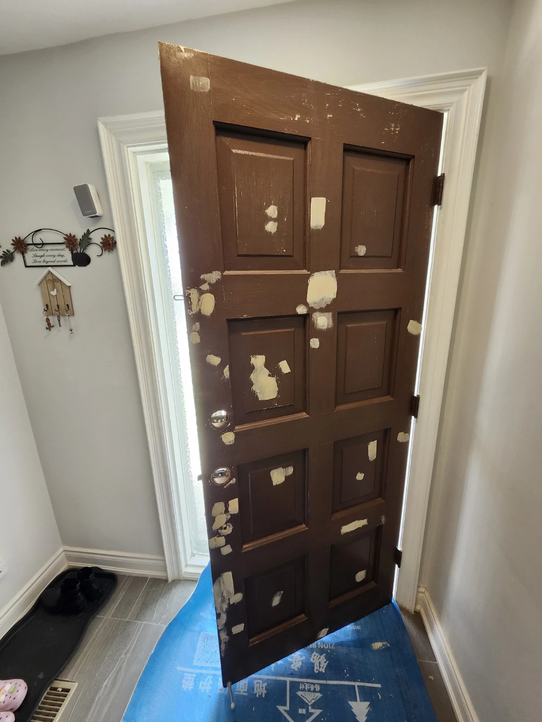 Painting door and garage door - photo 2