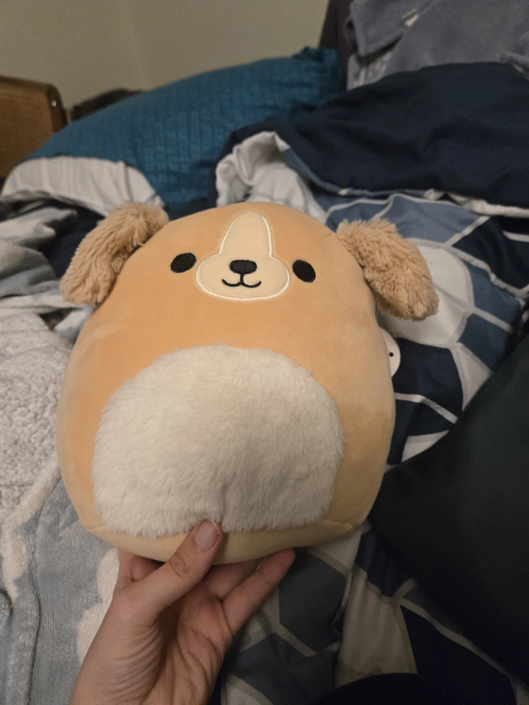 Squishmallows Stevon the Dog Plush Toy
