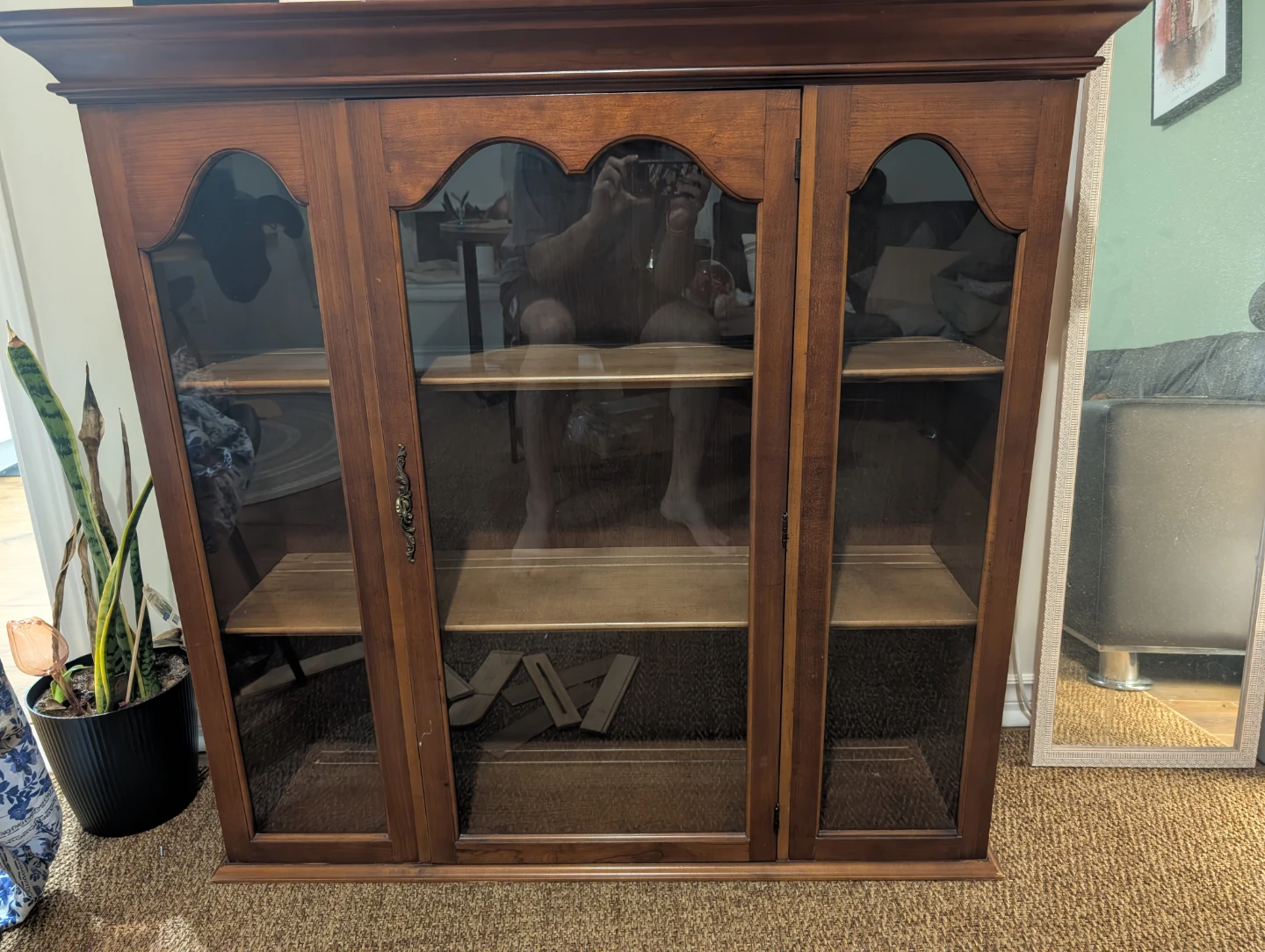 Wooden Display Cabinet with Glass Doors