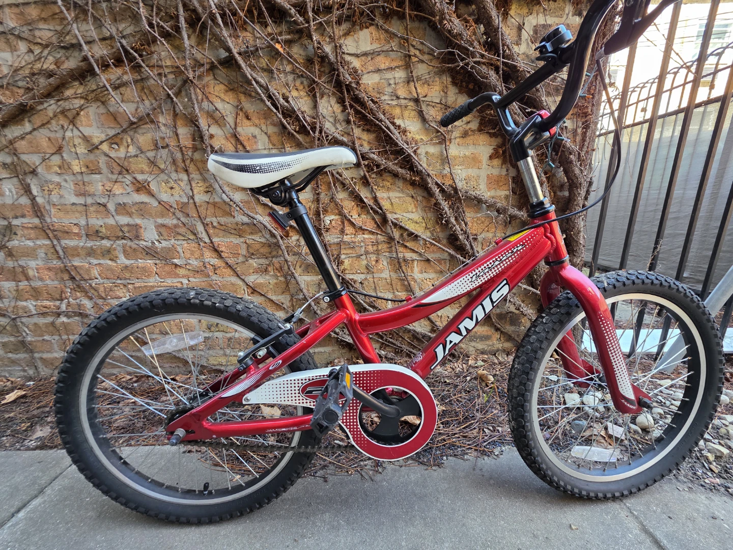 Jamis Laser 20 BMX  style Kids Bike very good condition