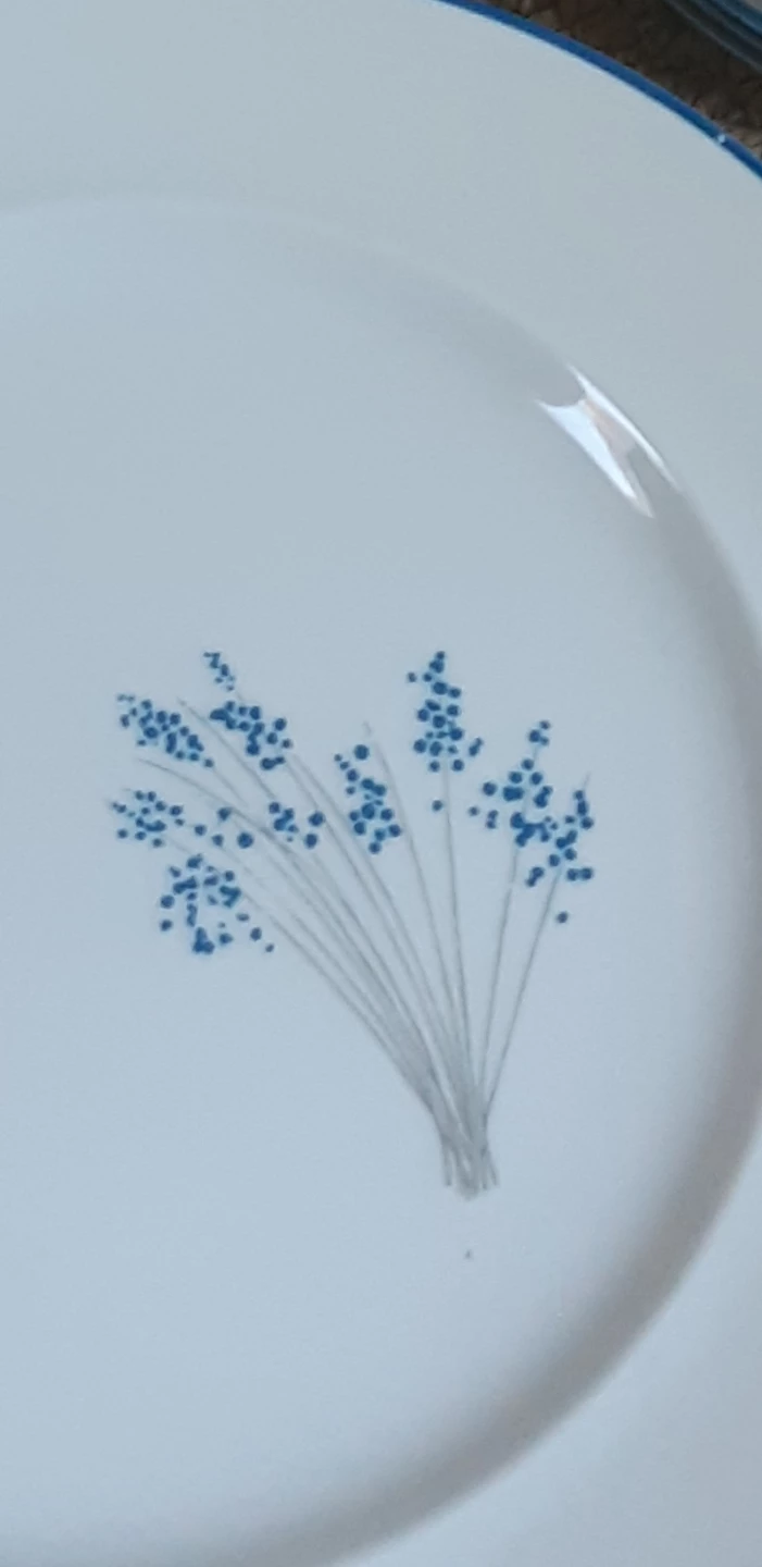 Gorgeous Set of Dishes - photo 3