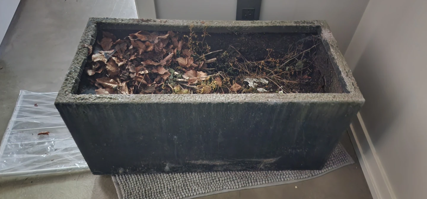 Concrete Rectangular Planter Box
