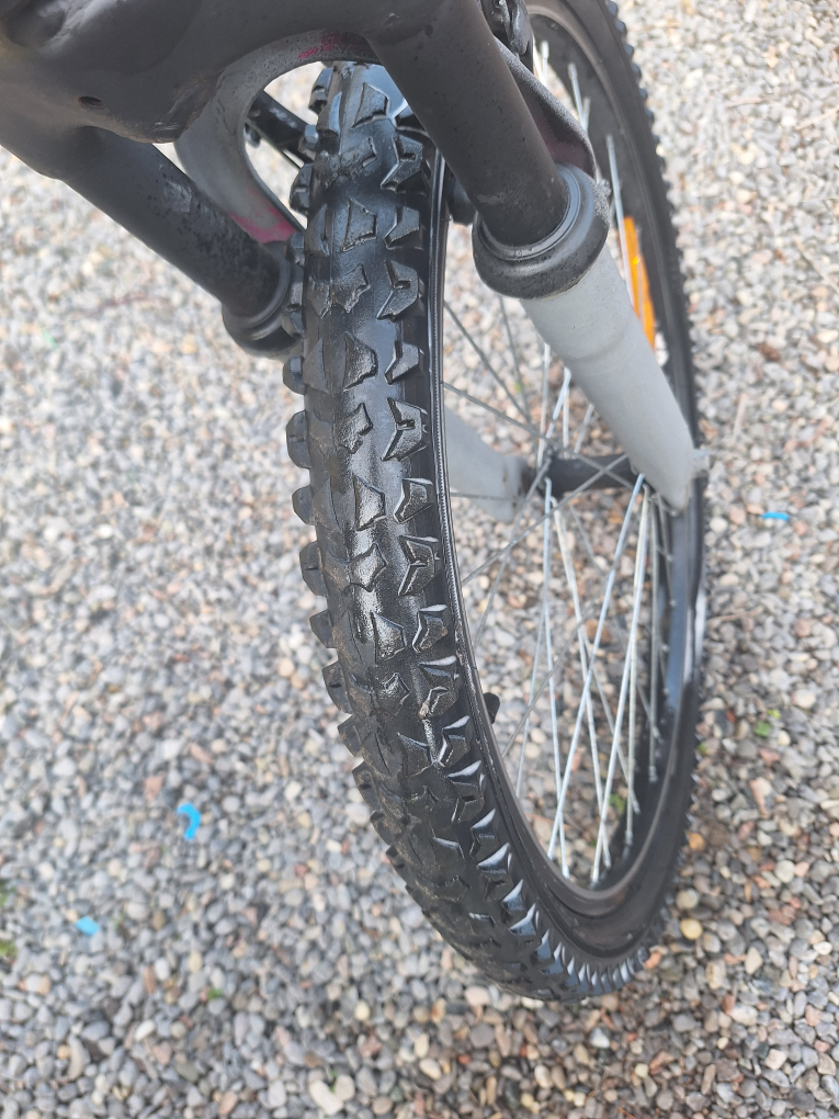 Black Mountain Bike - photo 4