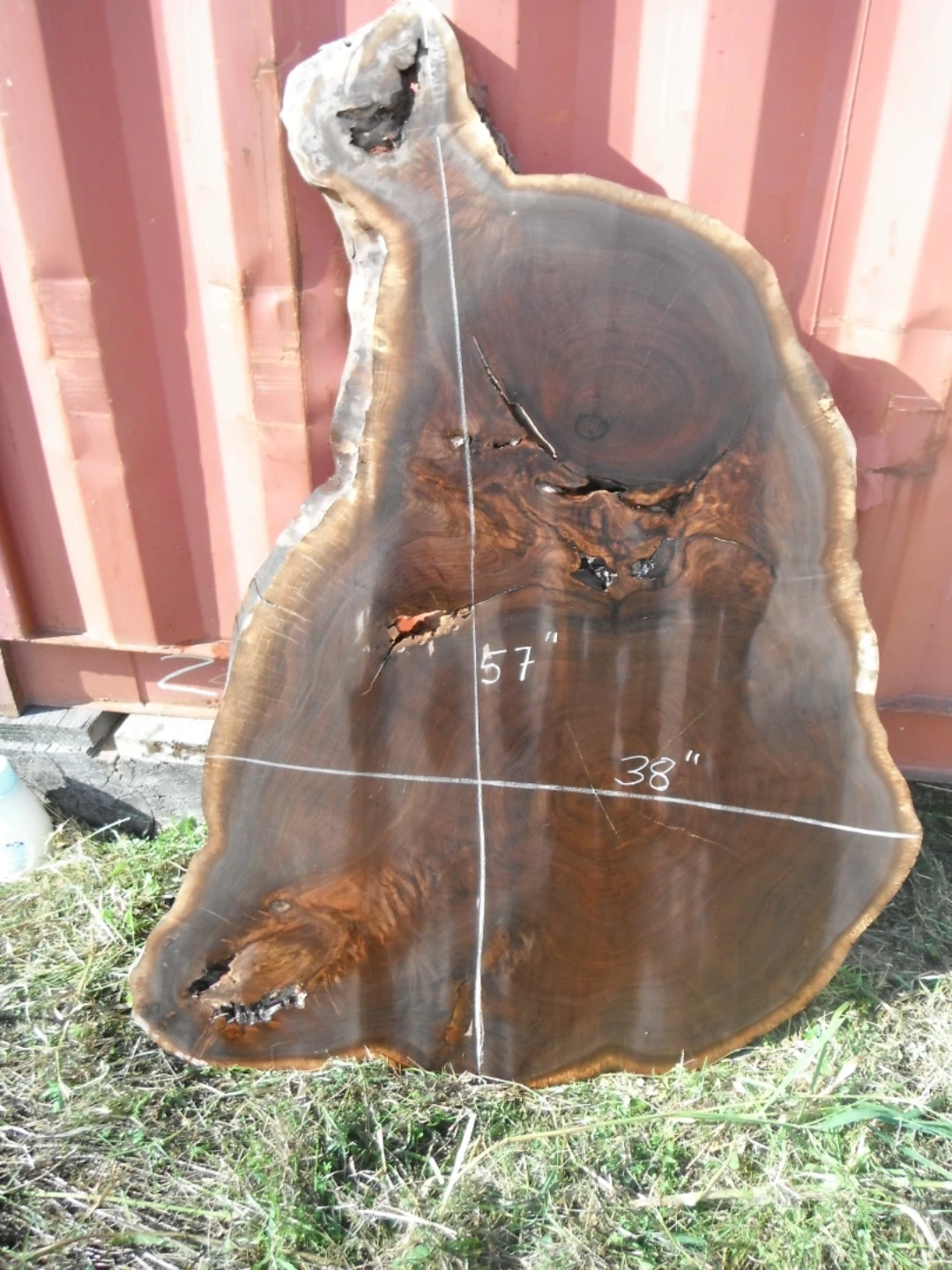 Various Live Edge Wooden Slabs - photo 4