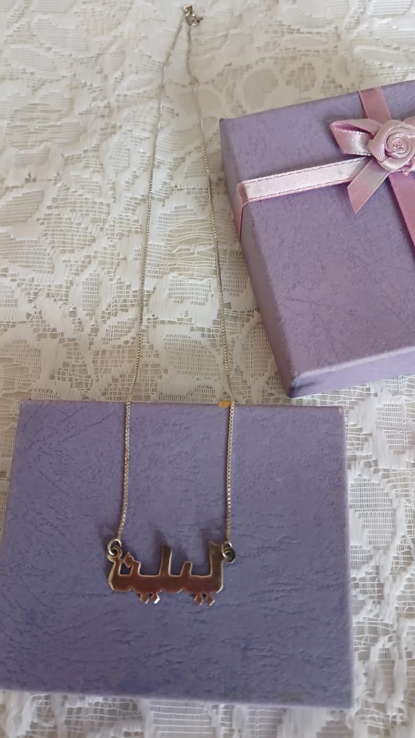 Silver necklace for $10.00