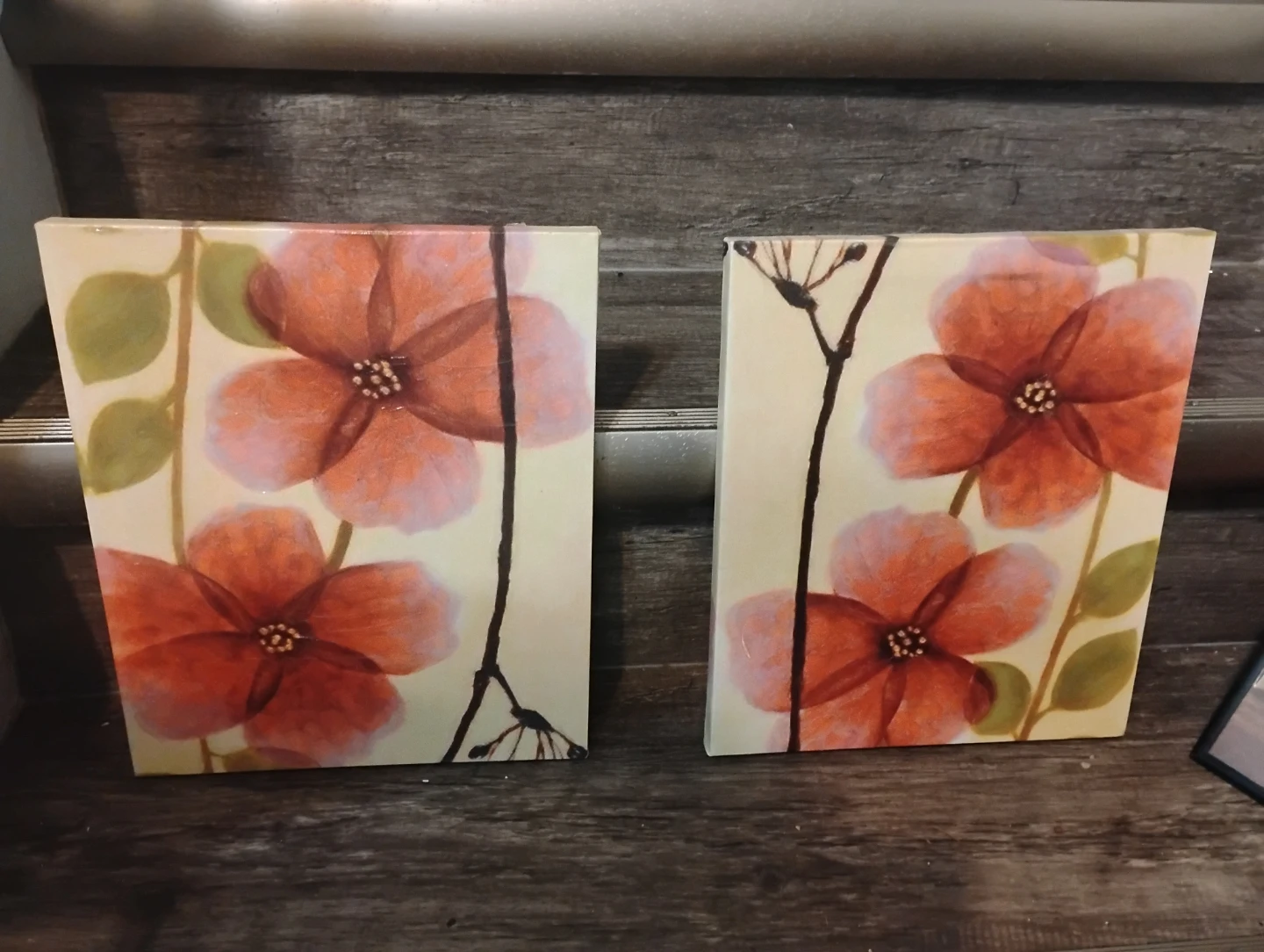 Set of 2 Floral Canvas Art Prints
