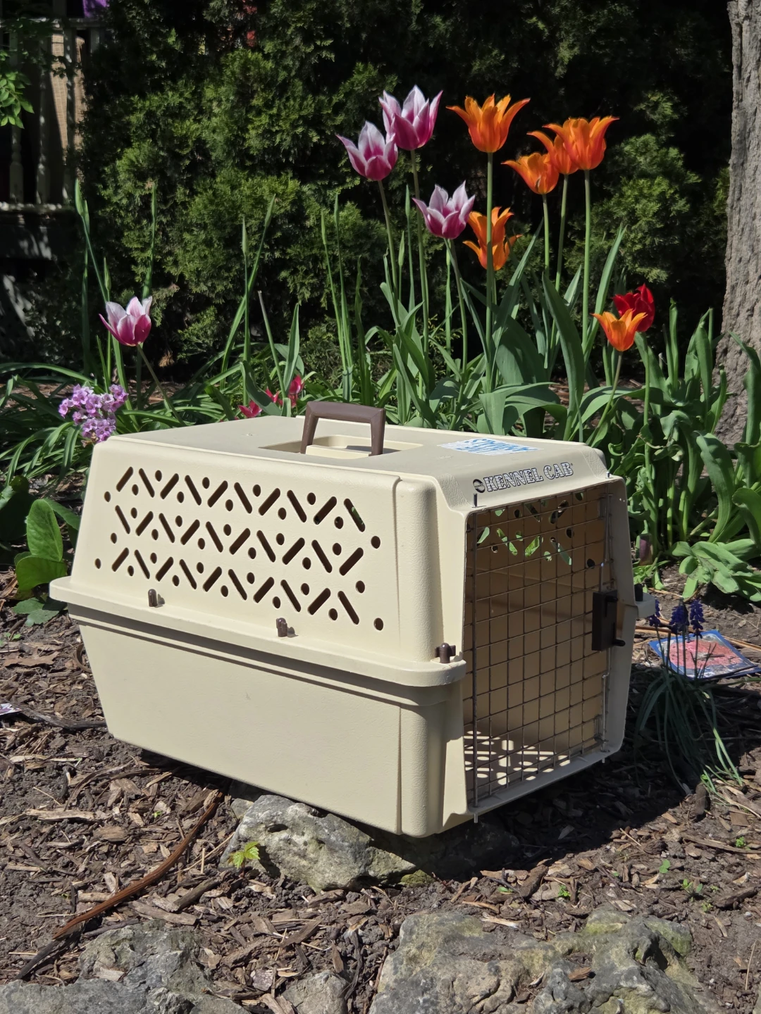 Kennel Cab Pet Carrier