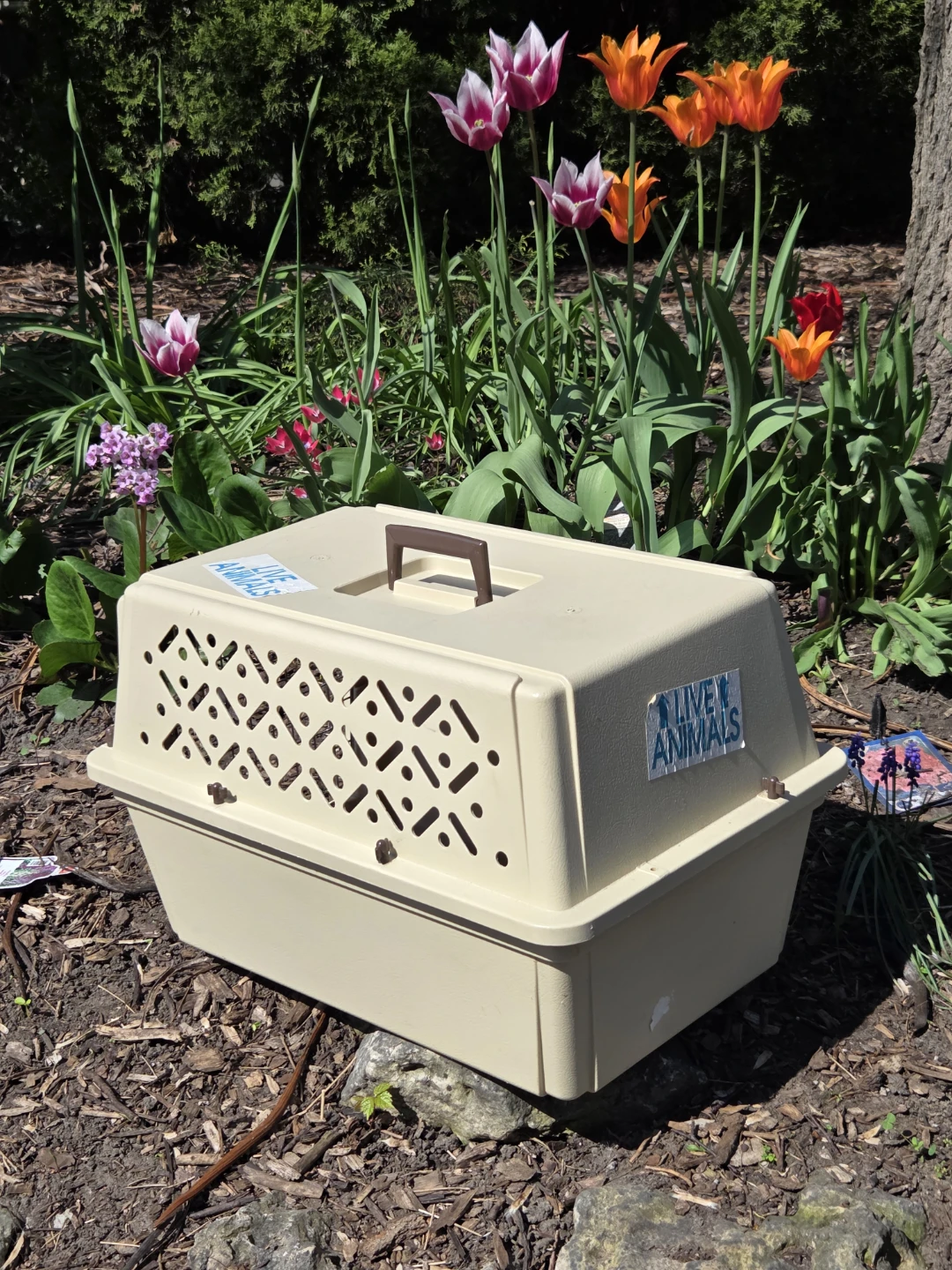 Kennel Cab Pet Carrier - photo 4