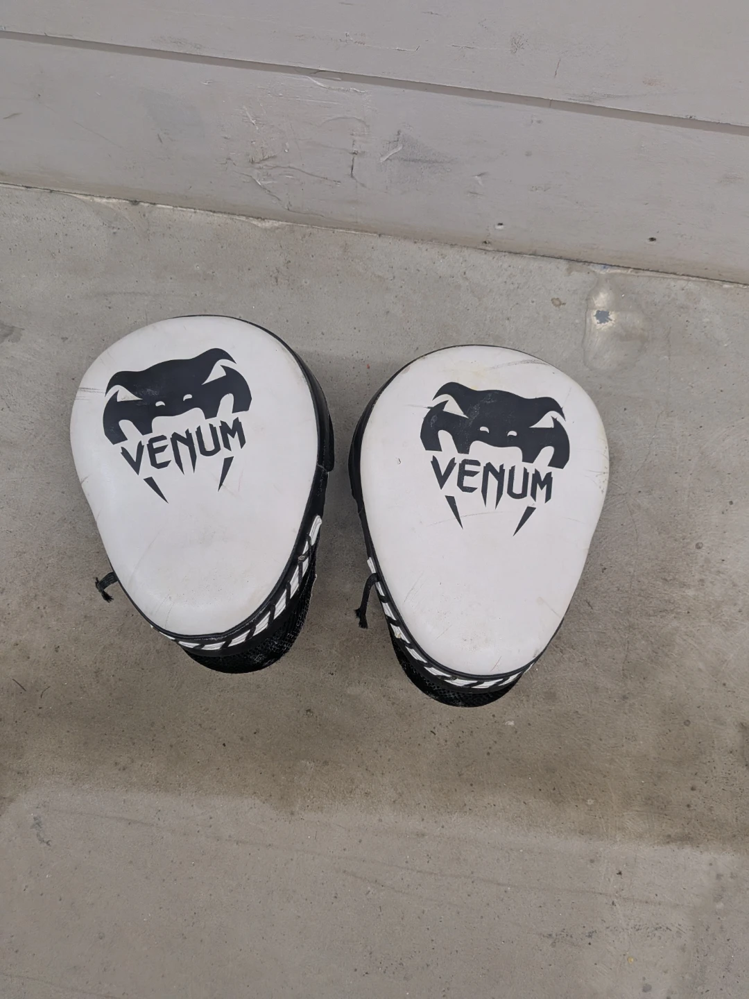 Venum Boxing Focus Mitts